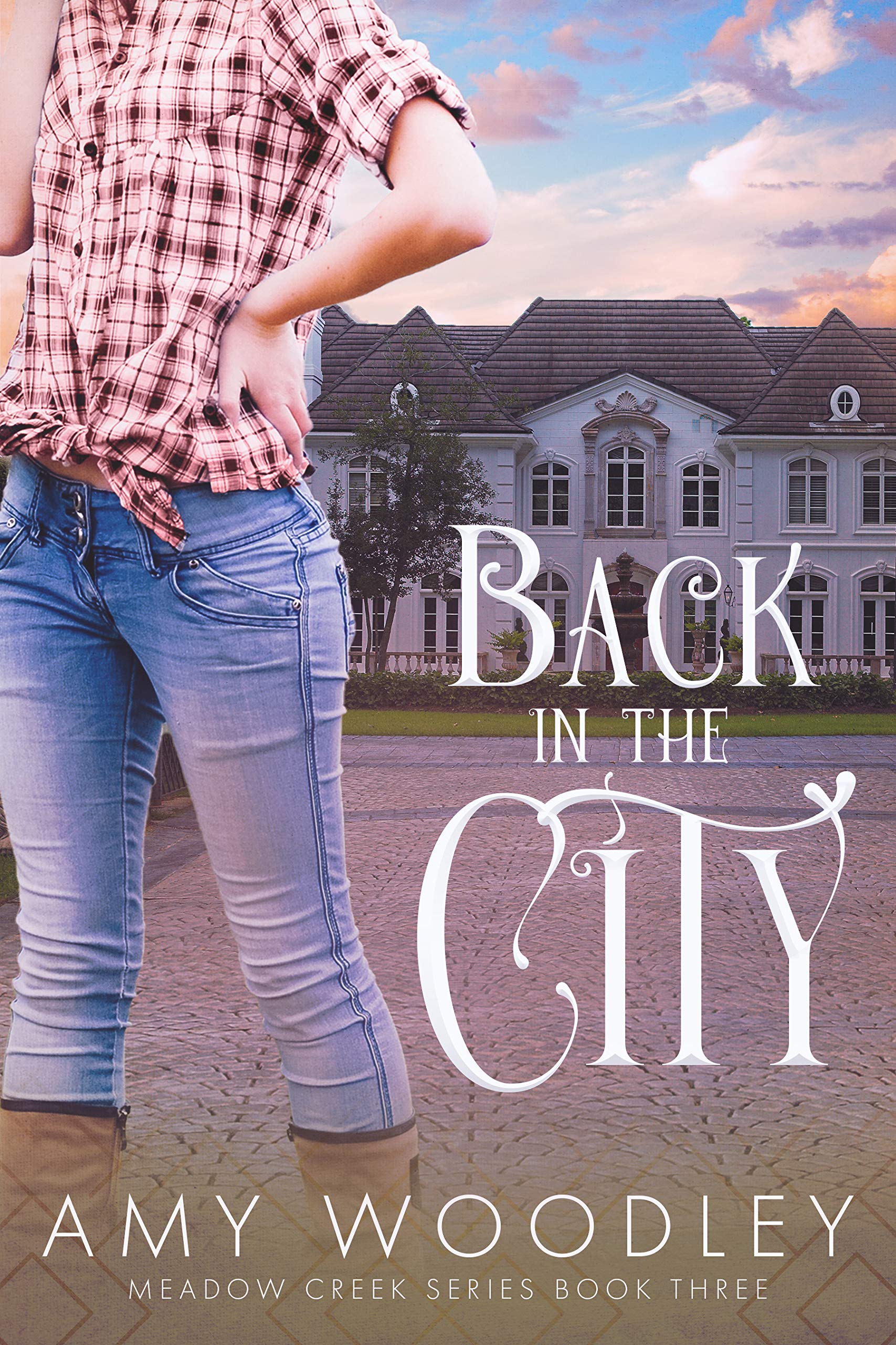 Back in the City (Meadow Creek 3) by Amy Woodley Goodreads