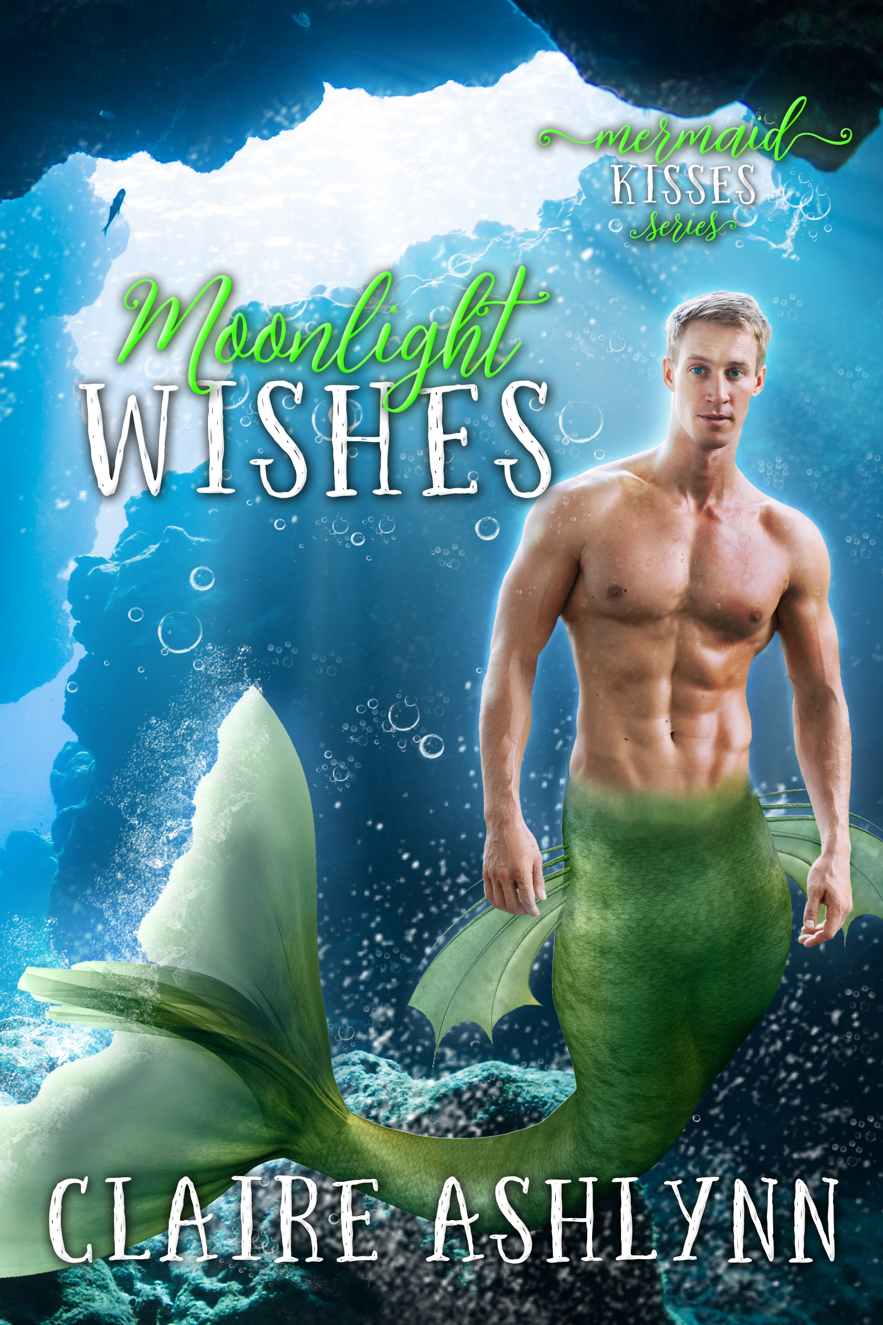 Moonlight Wishes book cover