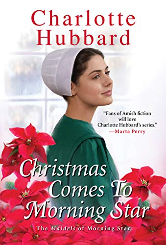 Christmas Comes to Morning Star book cover