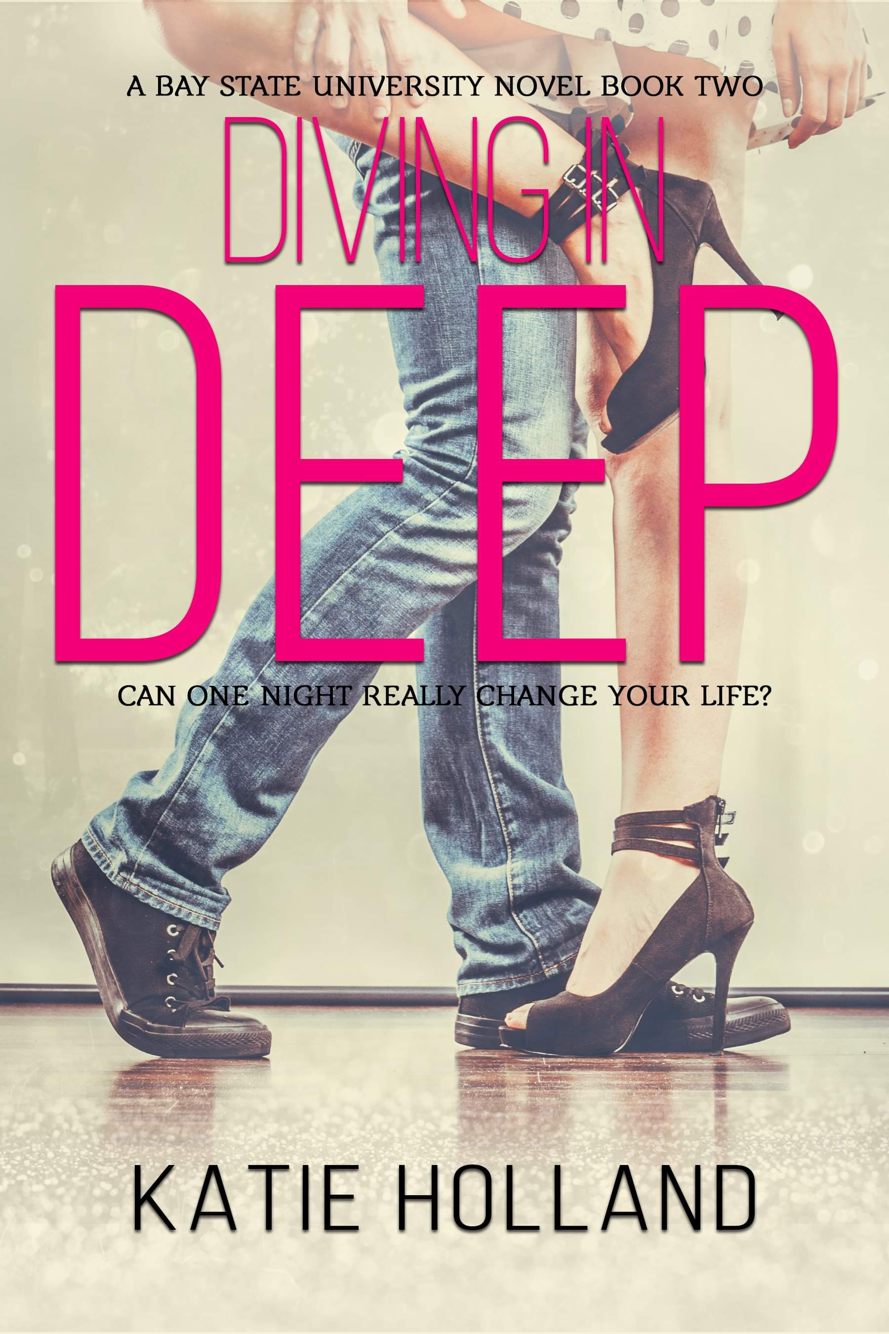 Bay State University book cover 2