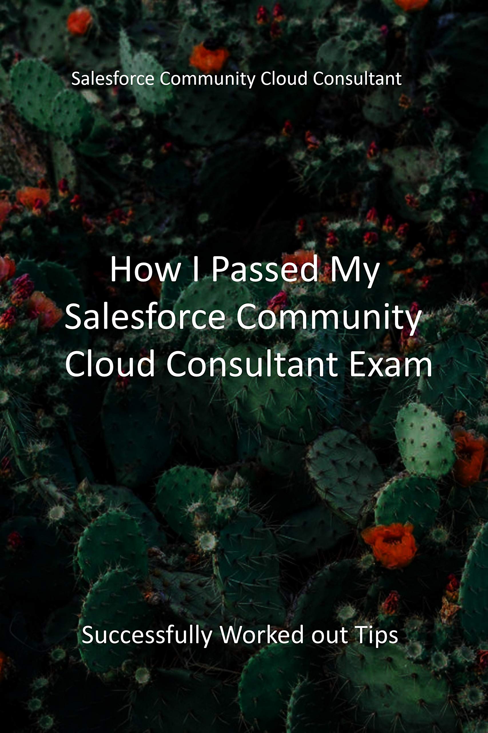 Community-Cloud-Consultant Dumps