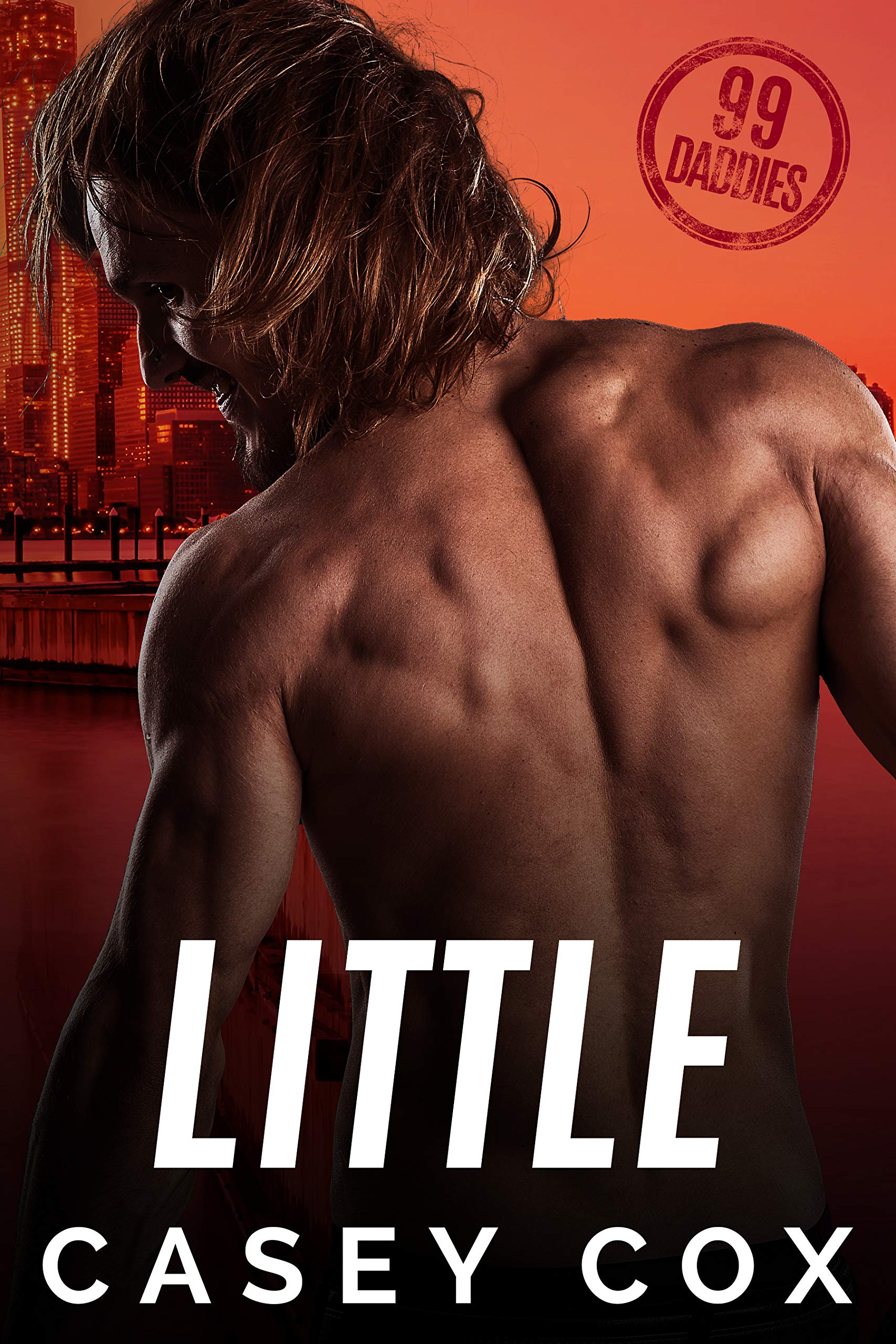 Little book cover