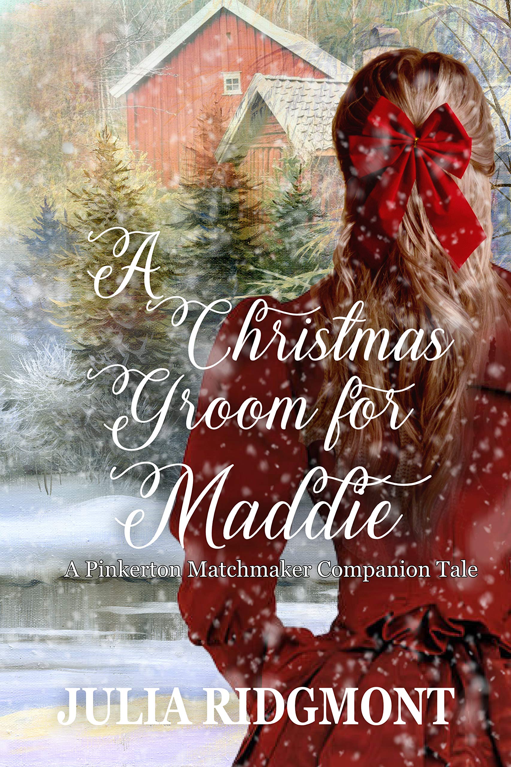 A Christmas Groom for Maddie book cover