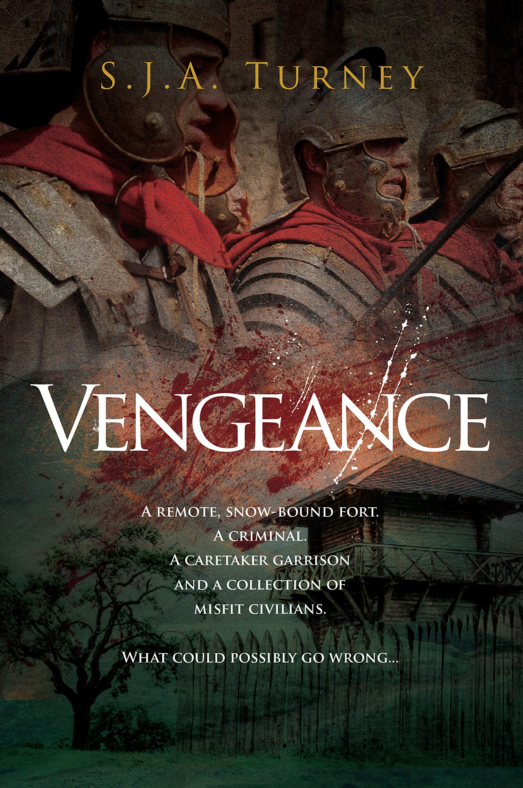 Vengeance book cover