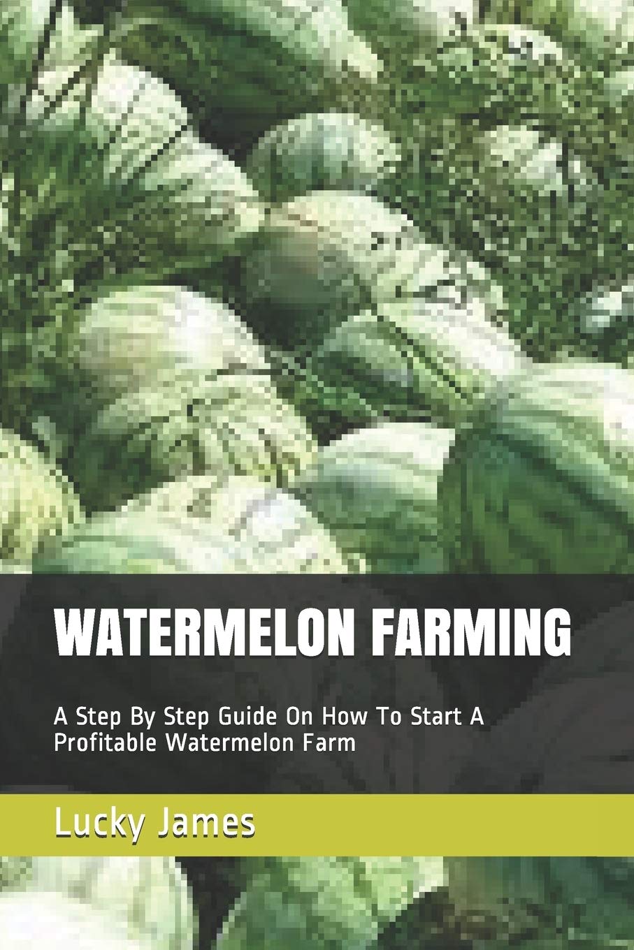 WATERMELON FARMING A Step By Step Guide On How To Start A Profitable