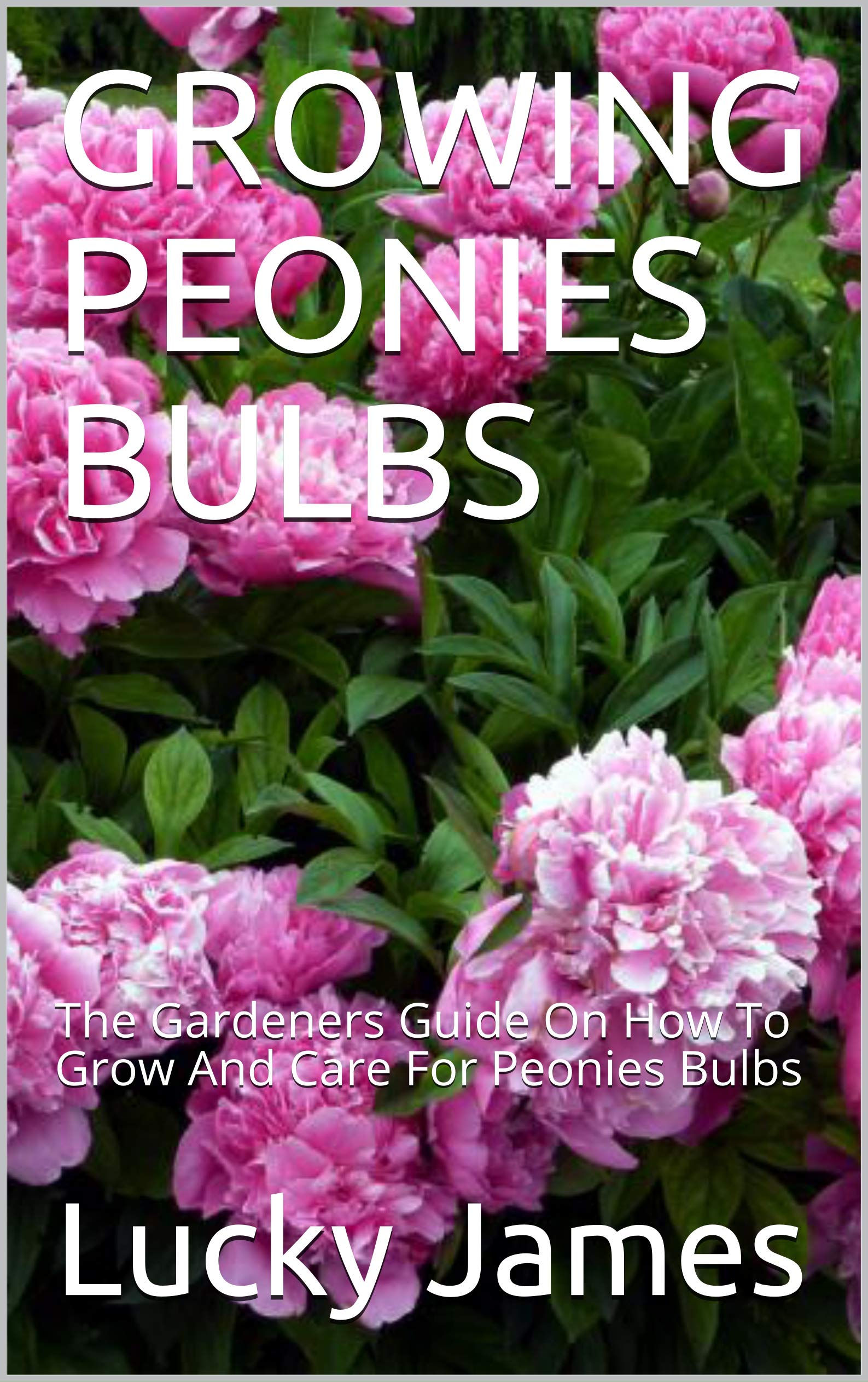 GROWING PEONIES BULBS The Gardeners Guide On How To Grow And Care For