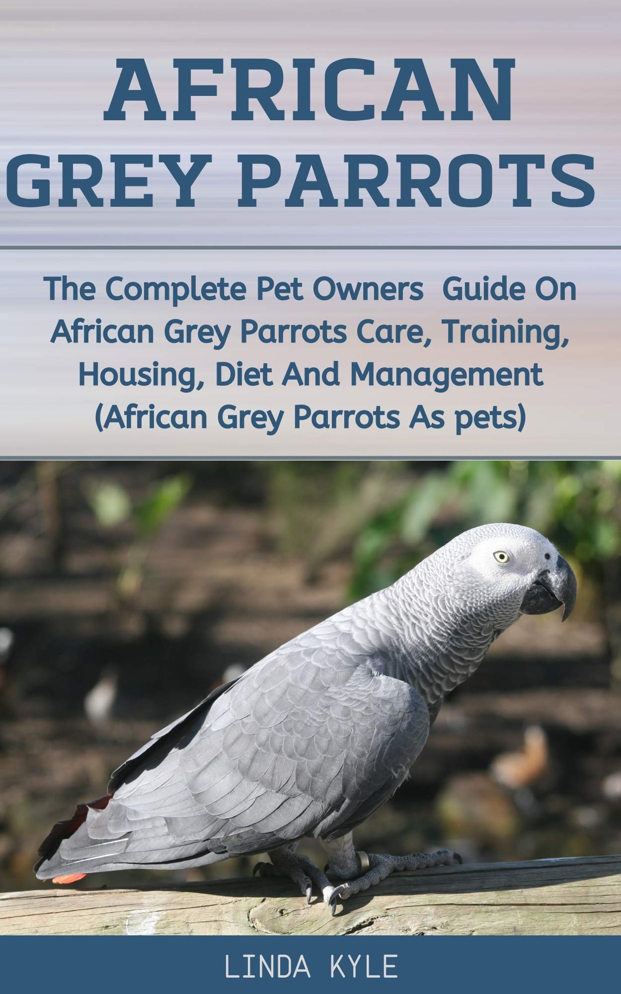 African Grey Parrots The Complete Pet Owners Guide On African Grey