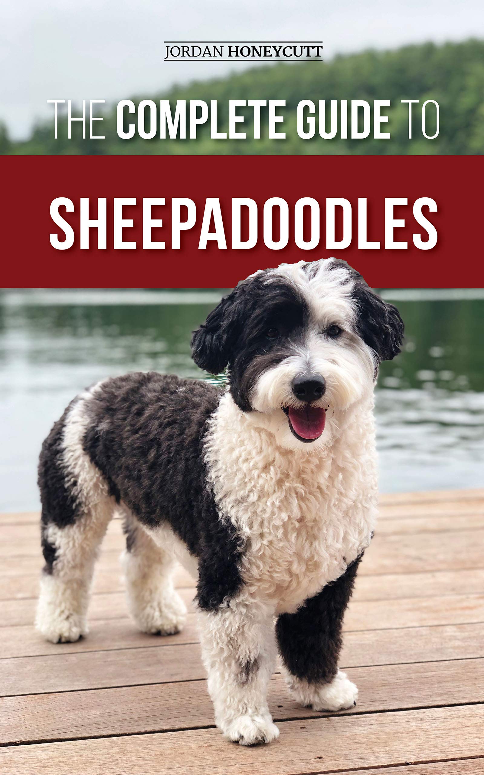 The Complete Guide to Sheepadoodles Finding, Raising, Training