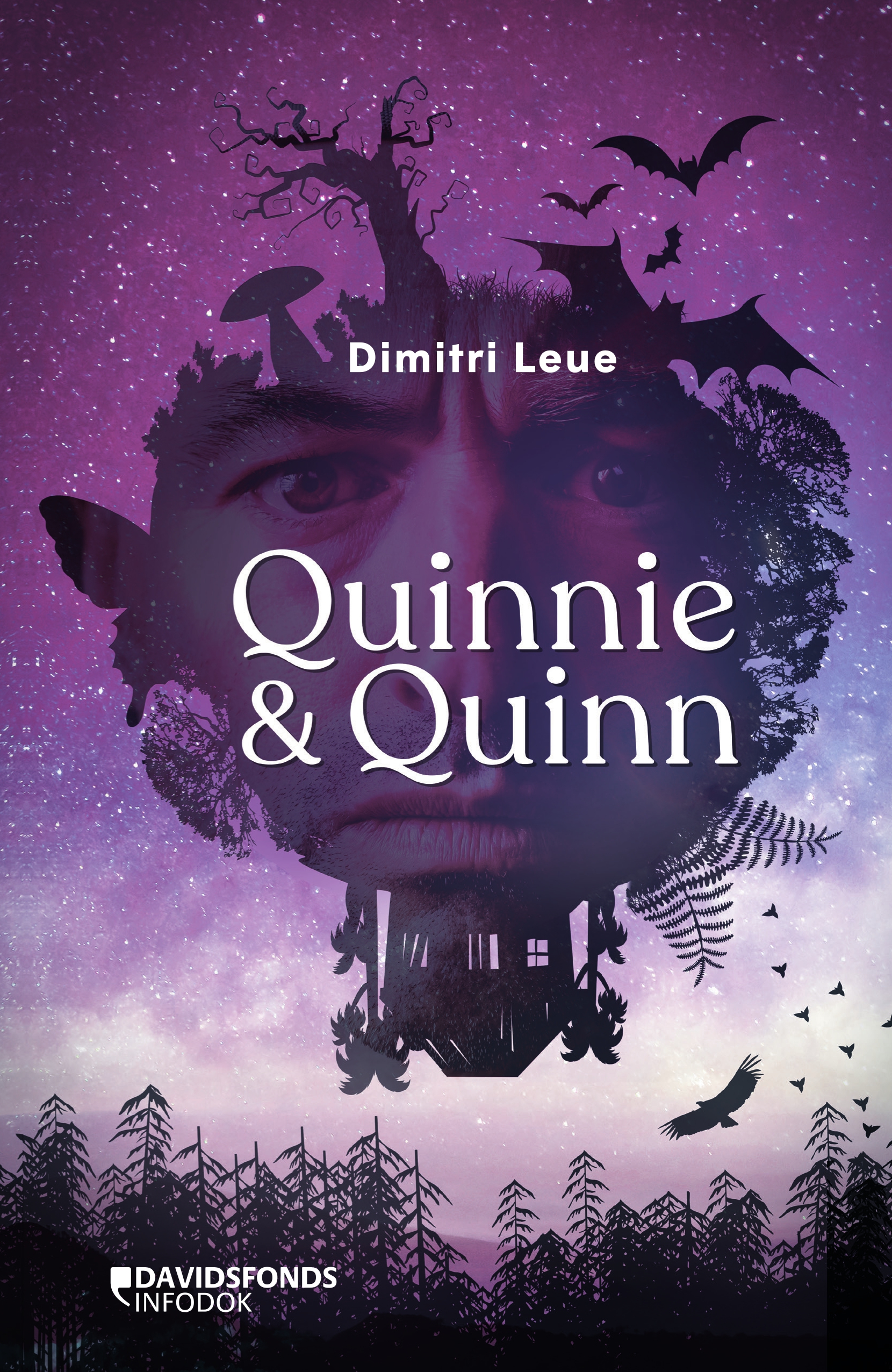 Quinnie & Quinn book cover