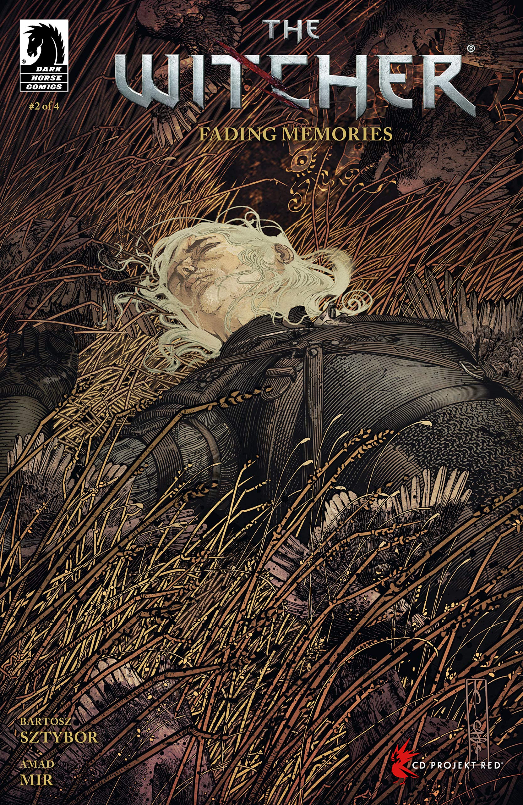 The Witcher book cover