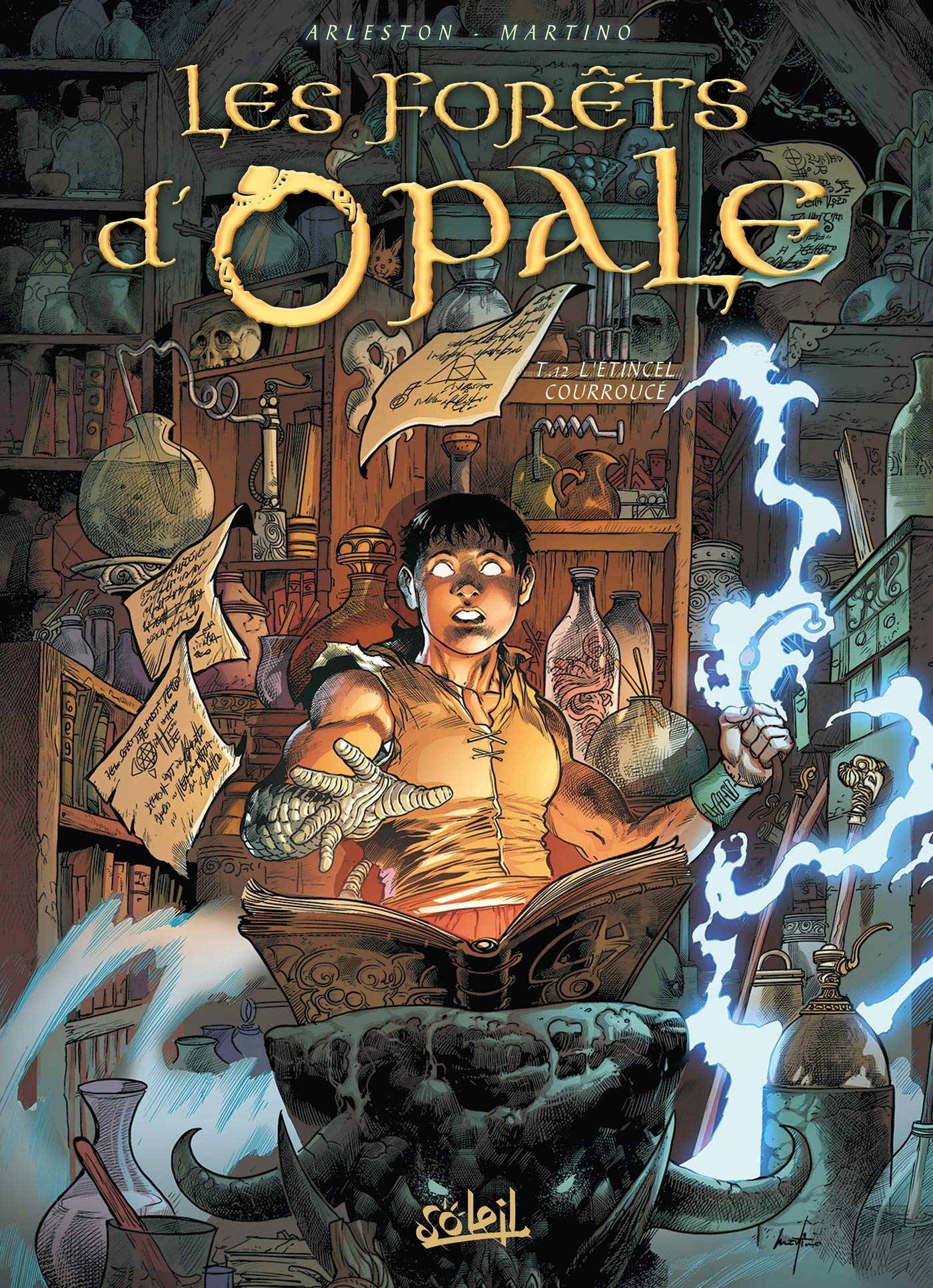 L'Étincel courroucé book cover