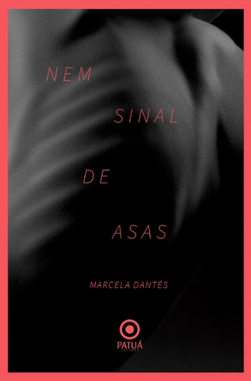 Nem sinal de asas