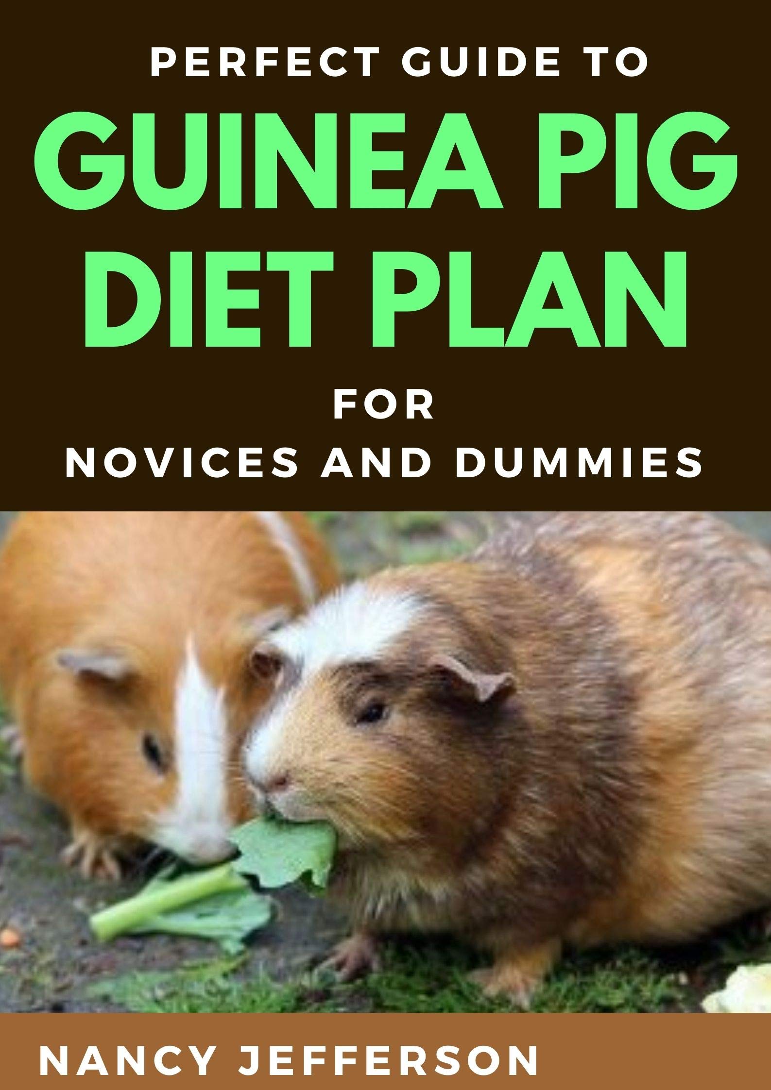 Perfect Guide To Guinea Pigs Diet Plan For Novices And Dummies