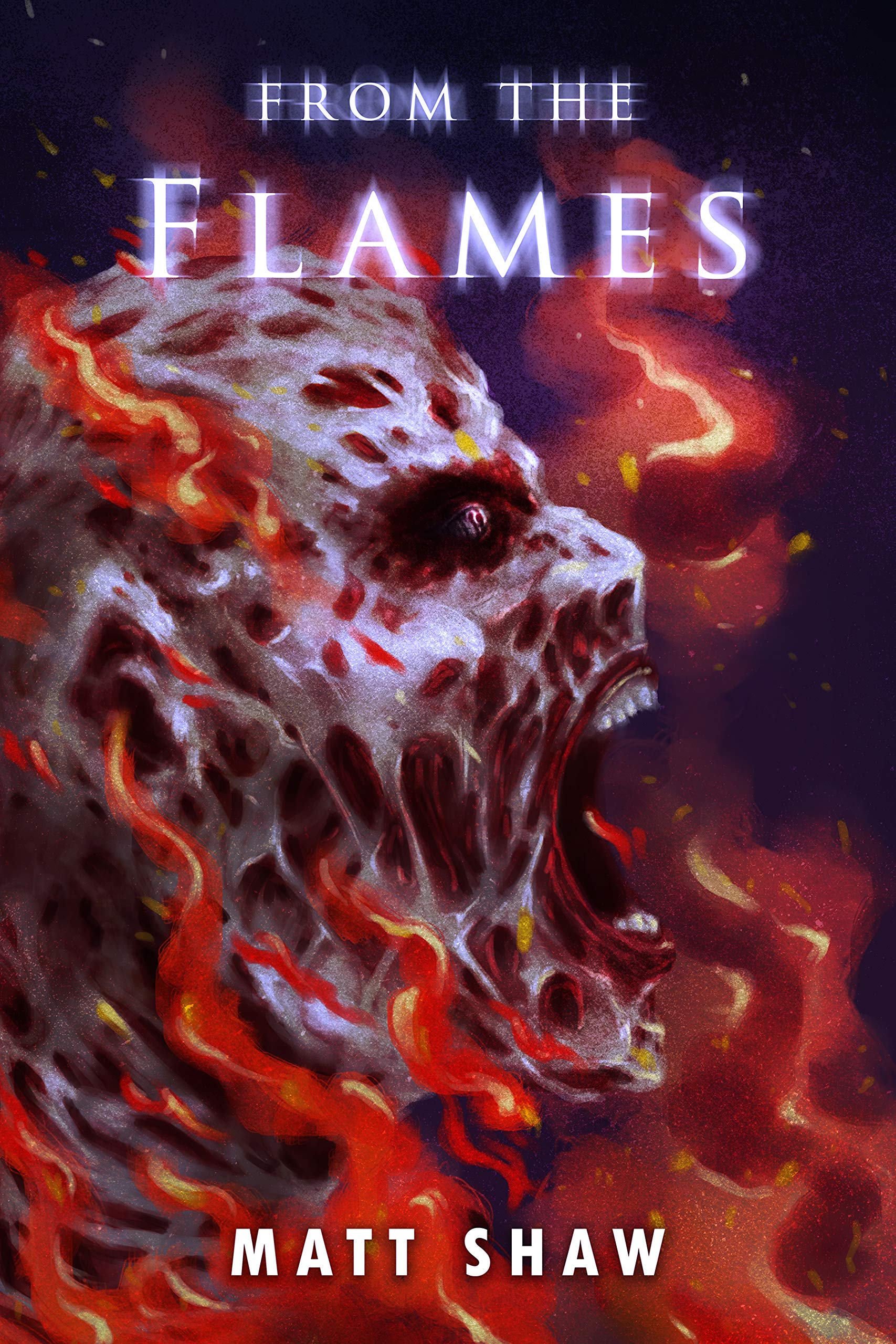 From The Flames book cover