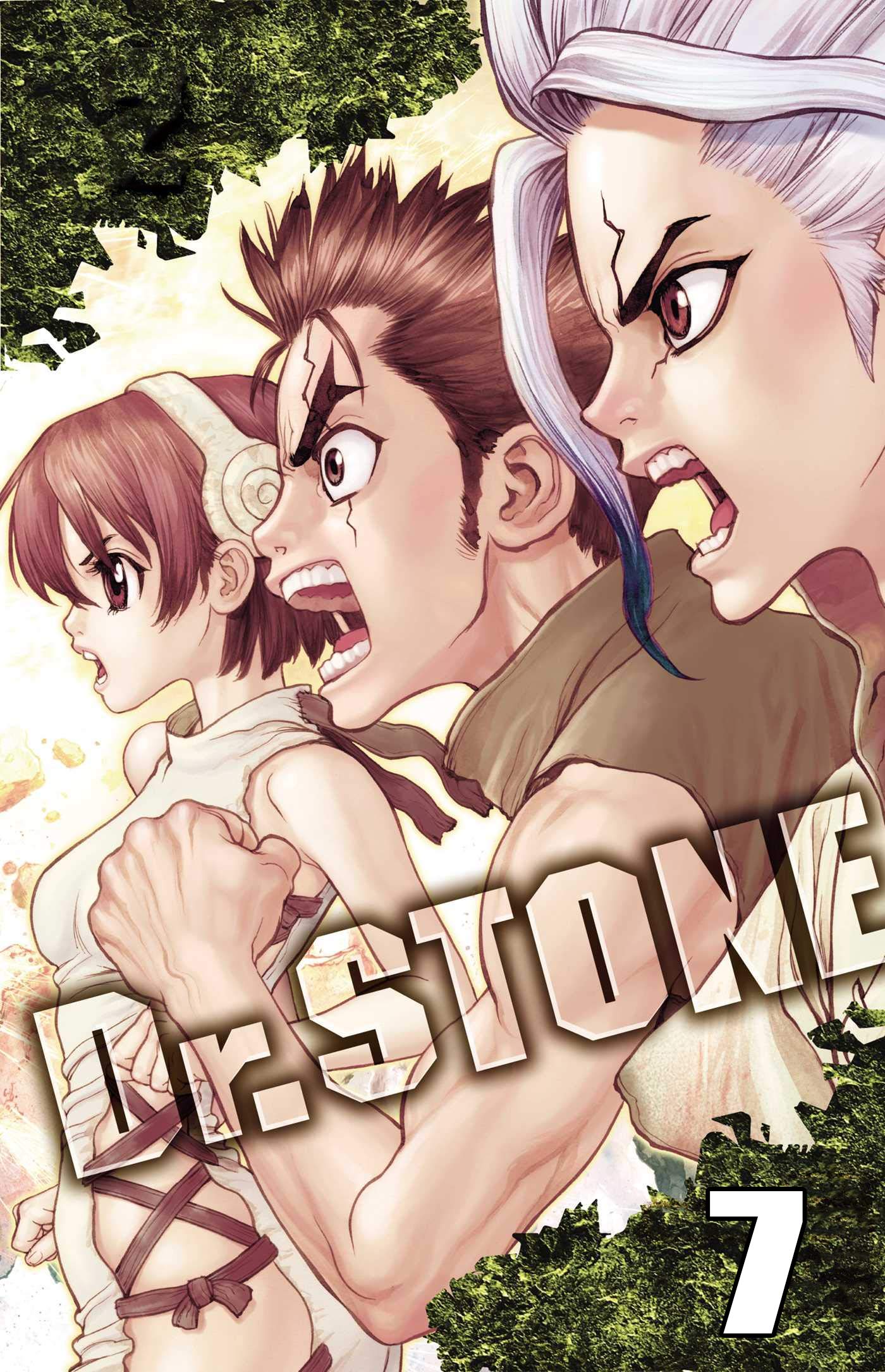Dr.STONE漫画 Chapter 217 | Dr. Stone Wiki | Fandom