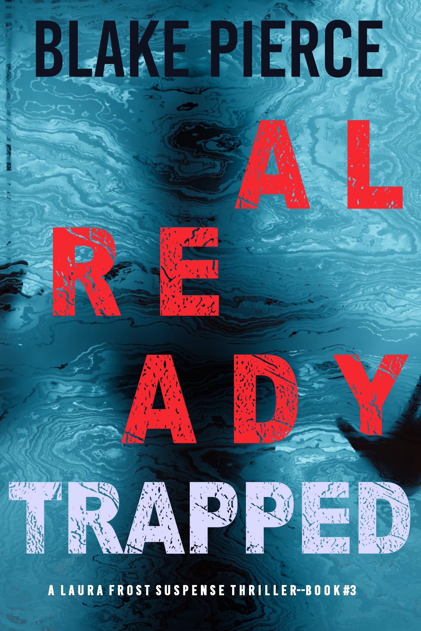 Laura Frost FBI book cover 3