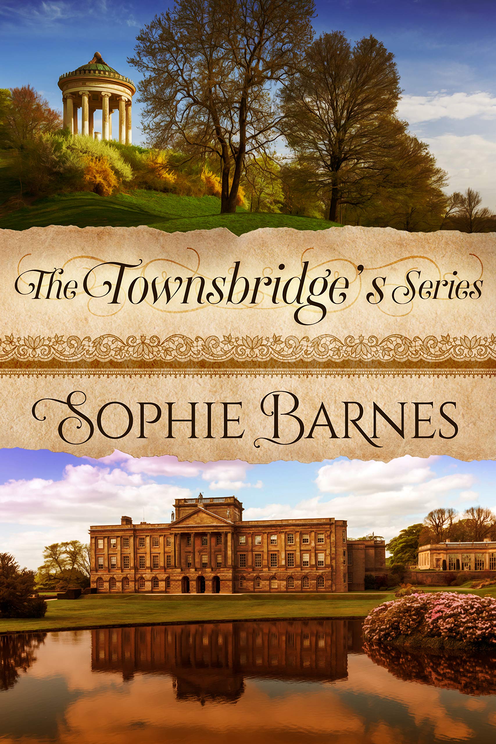 The Townsbridge's Series book cover