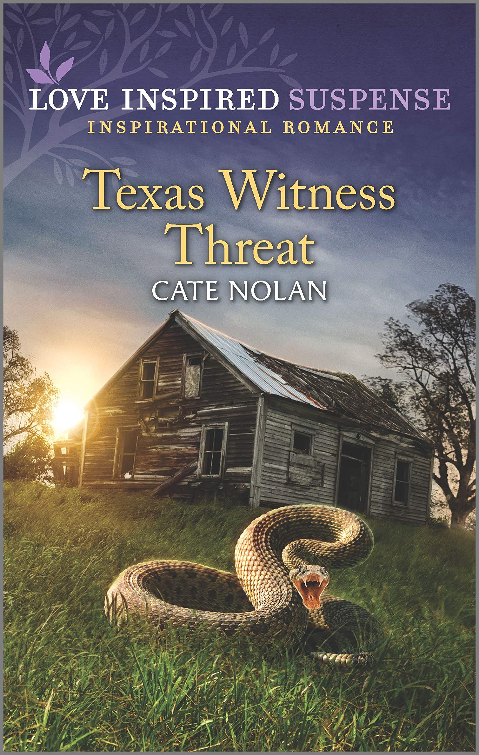 Texas Witness Threat book cover