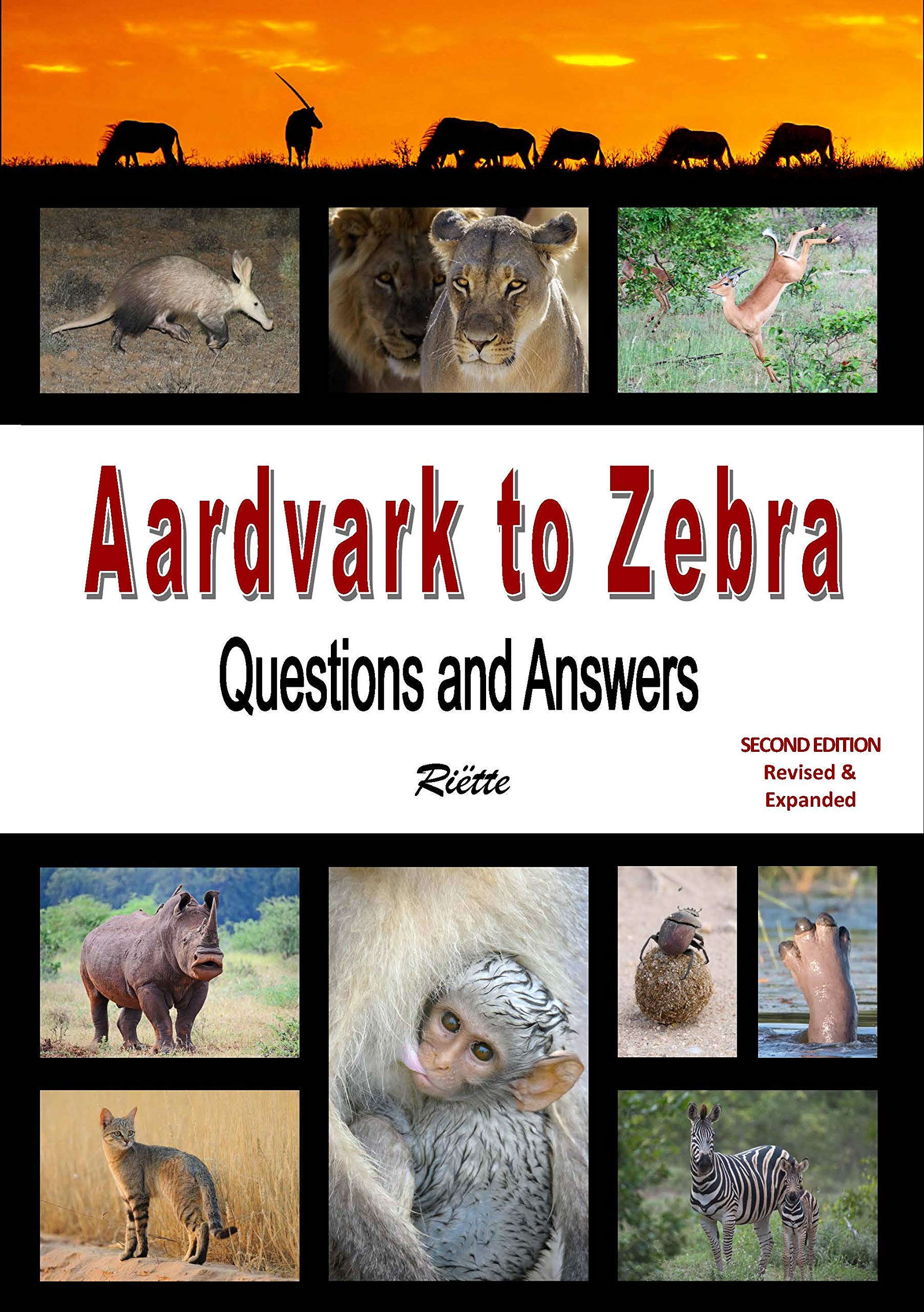 Aardvark to Zebra Questions and Answers by Riette R Goodreads