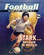 Stark... Mission in Mexico book cover
