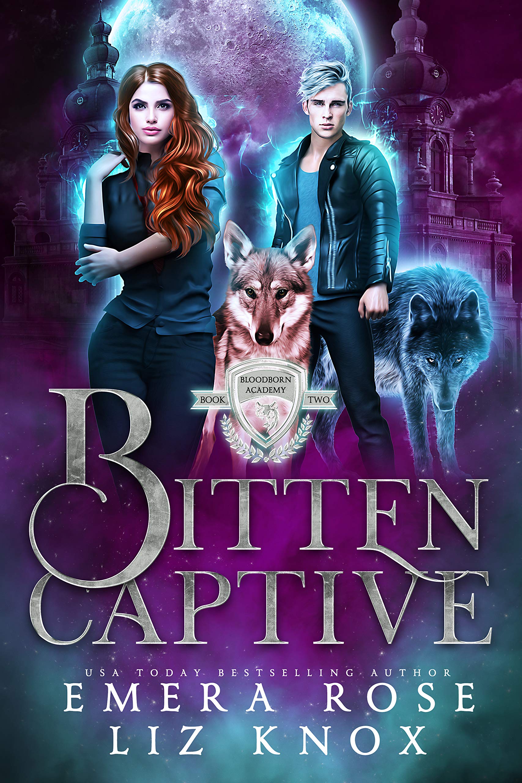 Bloodborn Academy book cover 2