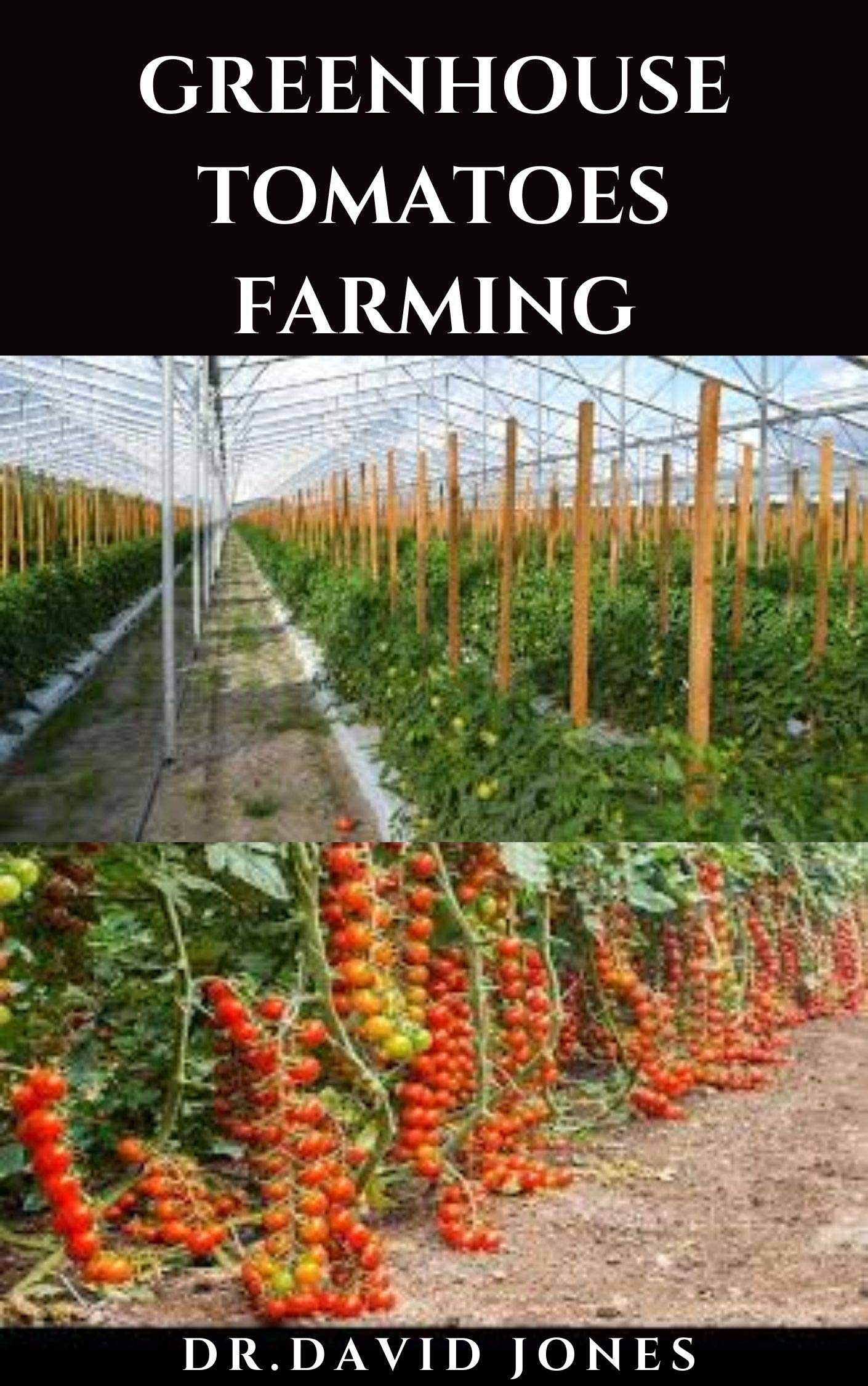 GREENHOUSE TOMATOES FARMING Step By Step Guide On How To Set Up And