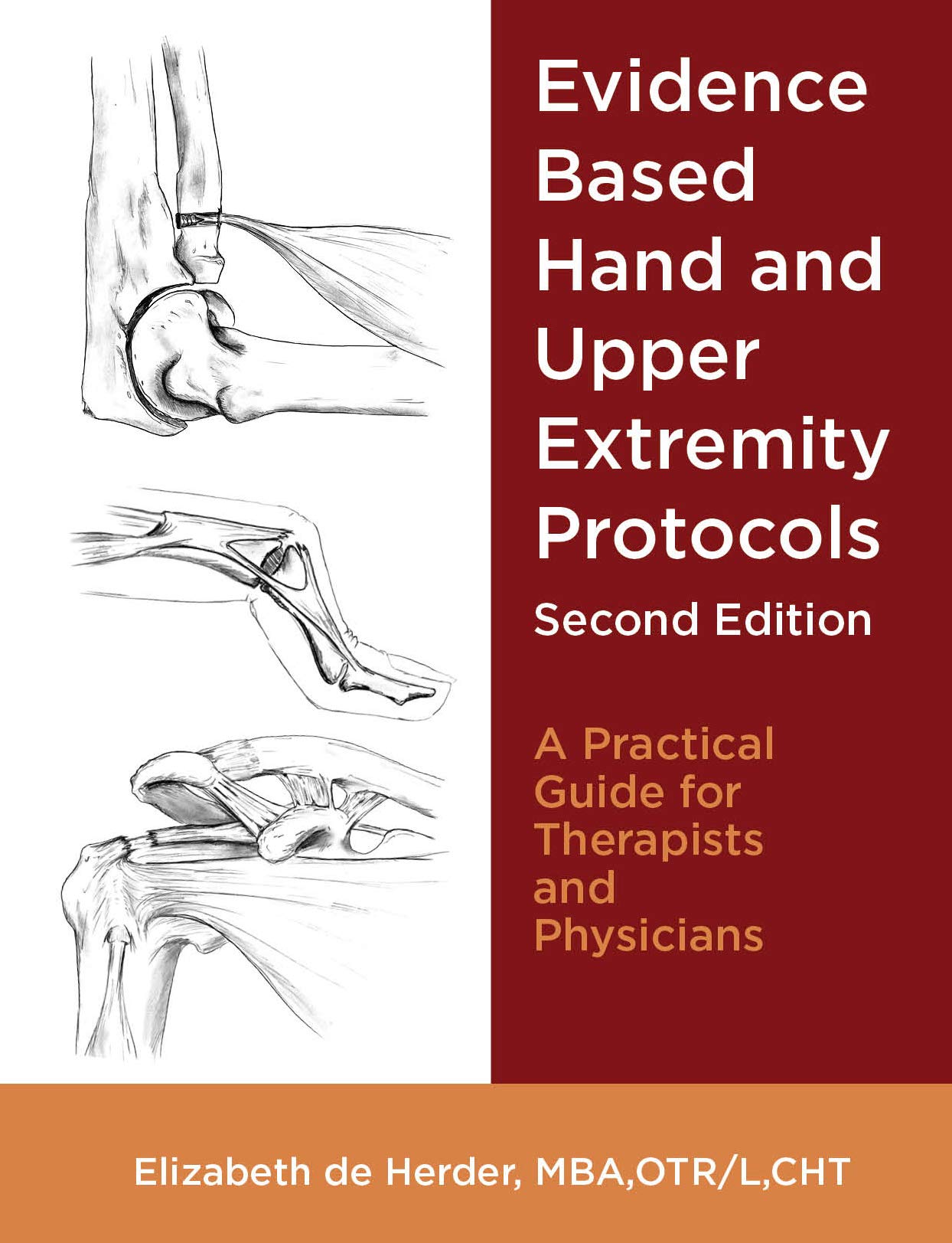 Evidence Based Hand and Upper Extremity Protocols by MBA Elizabeth de