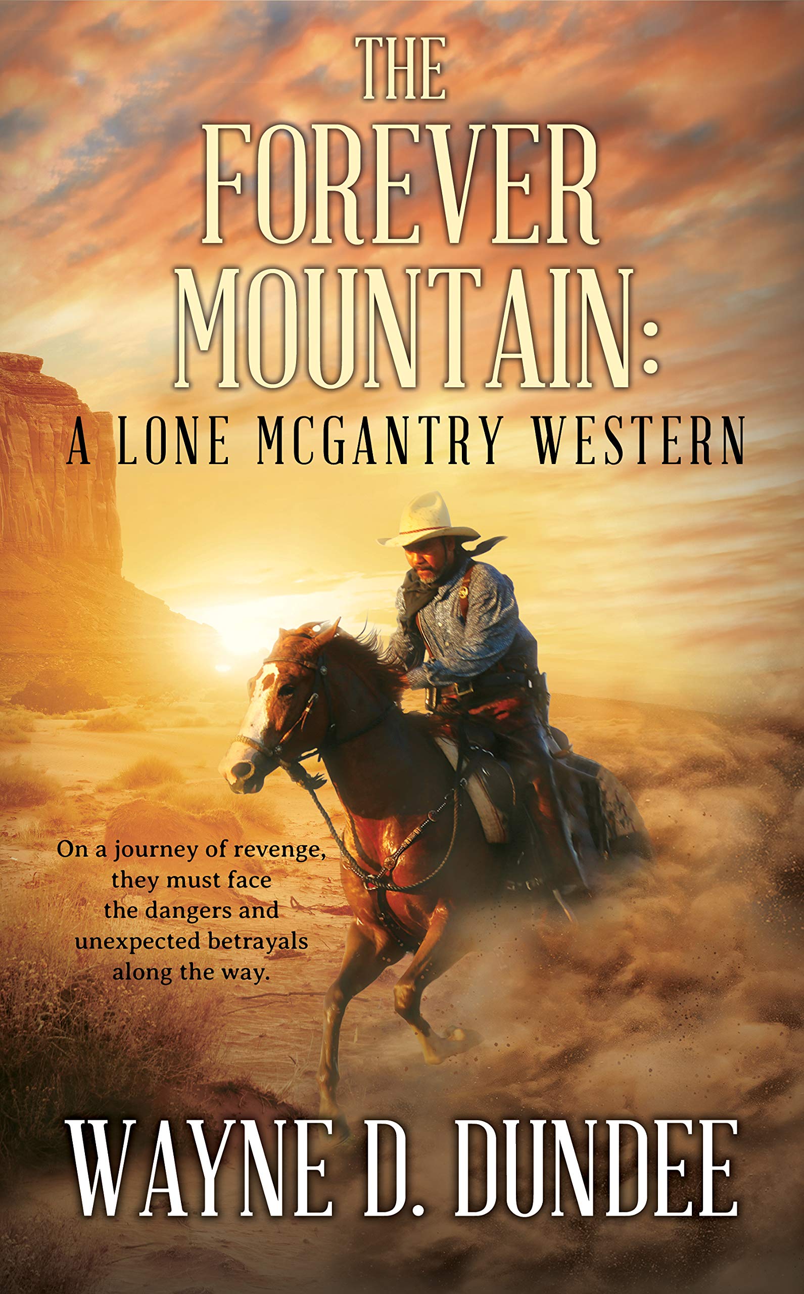 The Forever Mountain book cover