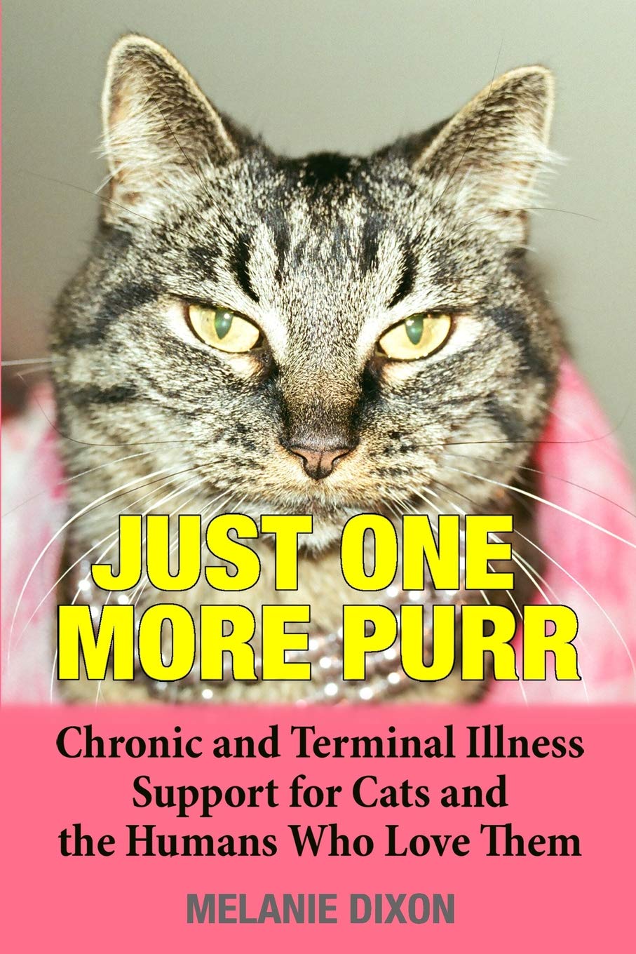 JUST ONE MORE PURR Chronic and Terminal Illness Support for Cats and