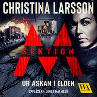 Sektion M book cover
