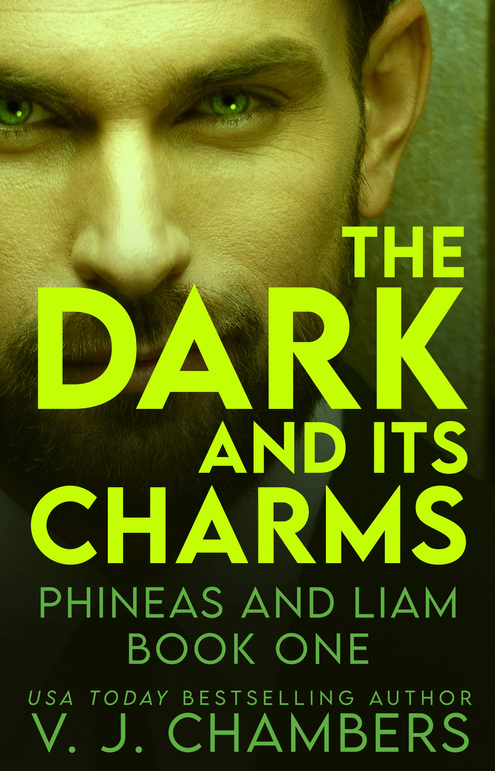 Phineas and Liam book cover 1