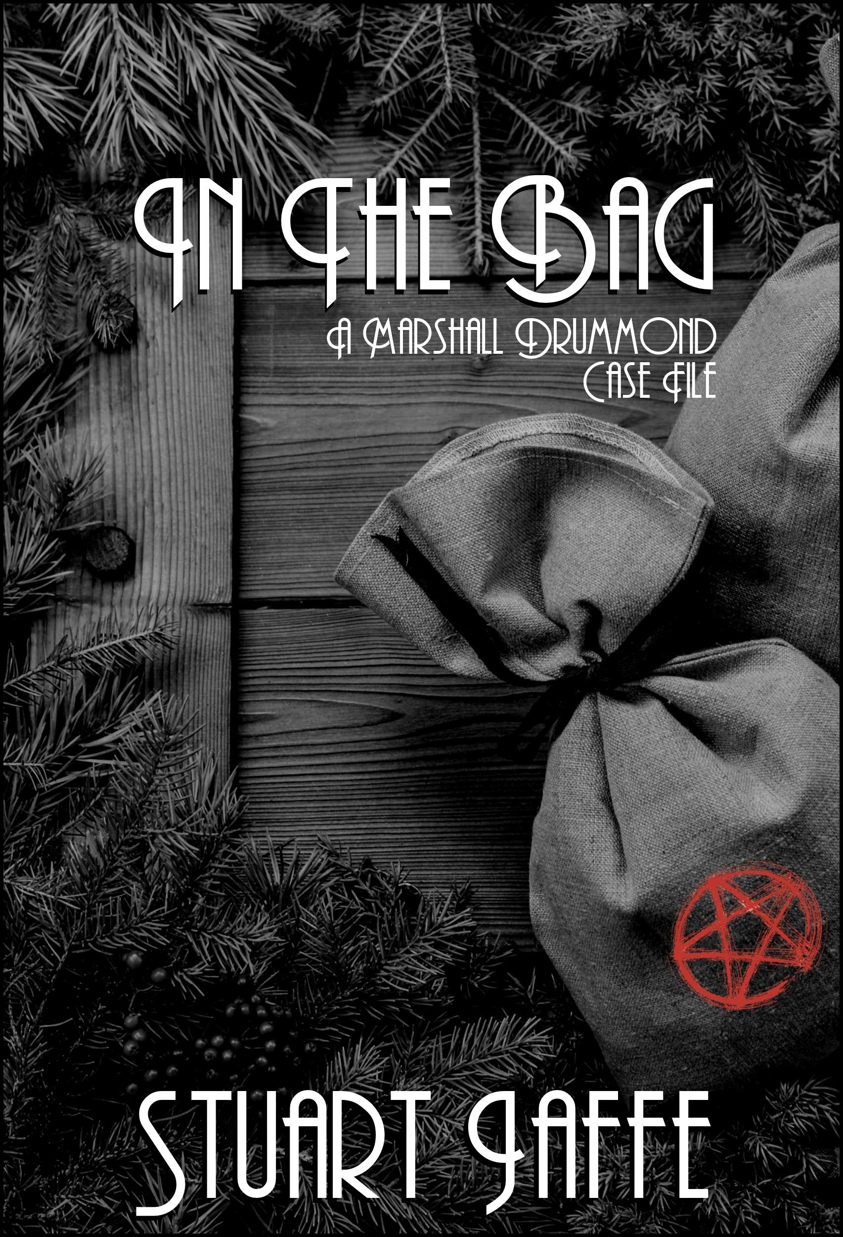 In the Bag book cover