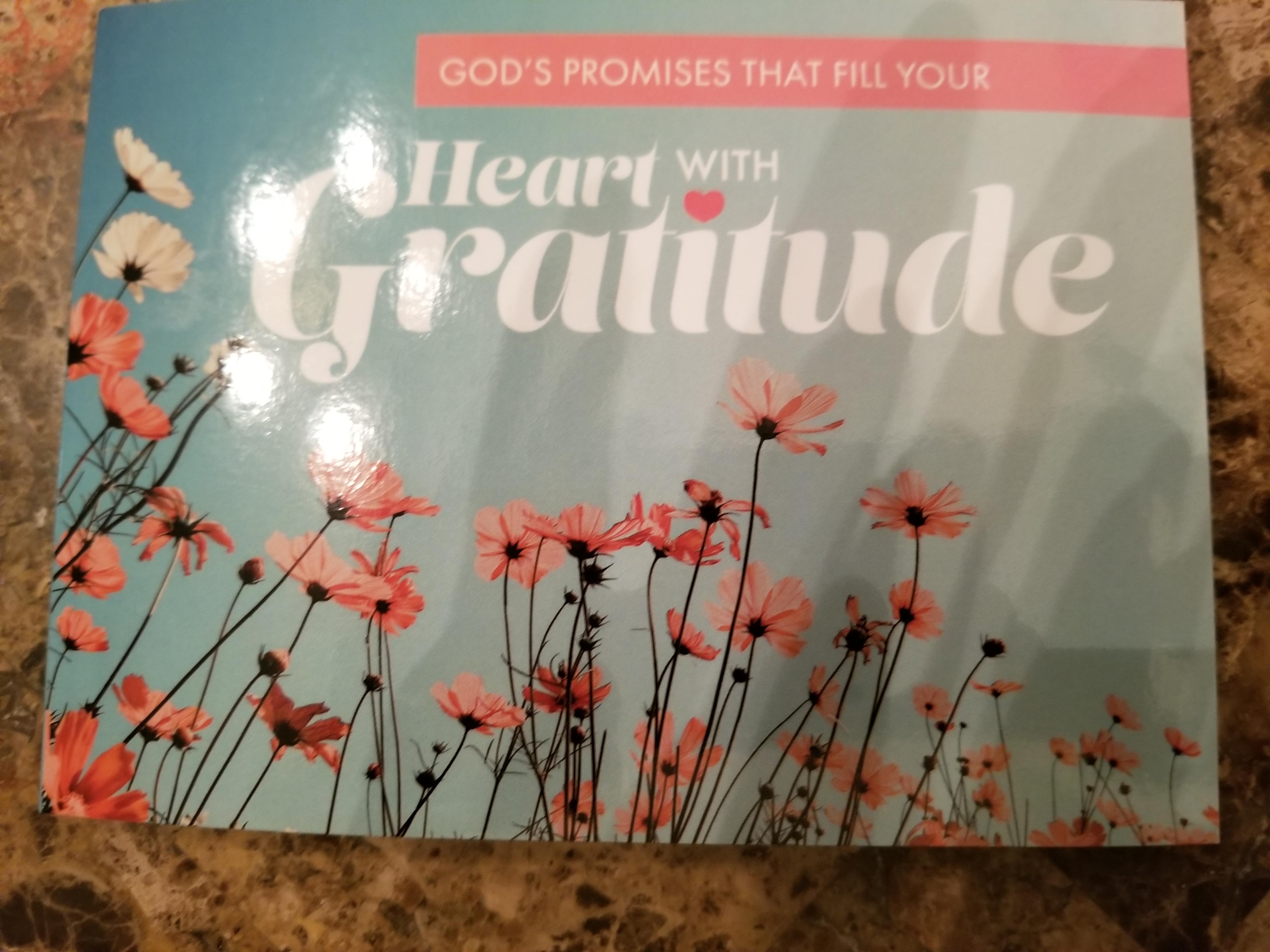 God's Promises that Fill Your Heart With Gratitude