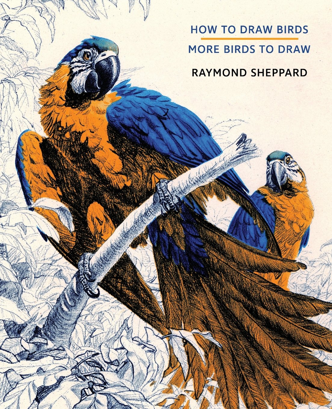 How to Draw Birds / More Birds to Draw by Raymond Sheppard Goodreads
