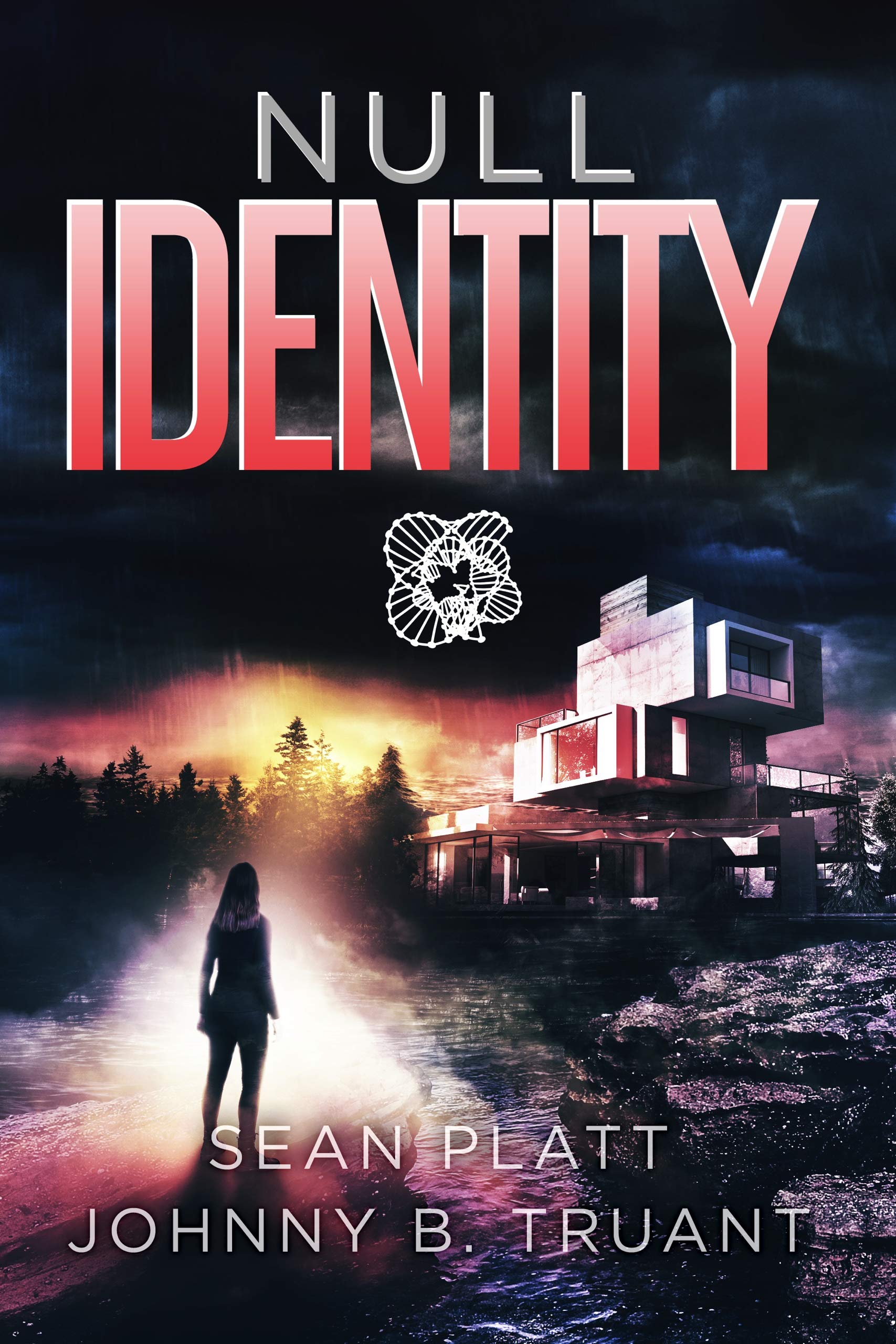 Null Identity book cover