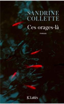 Ces orages-là book cover