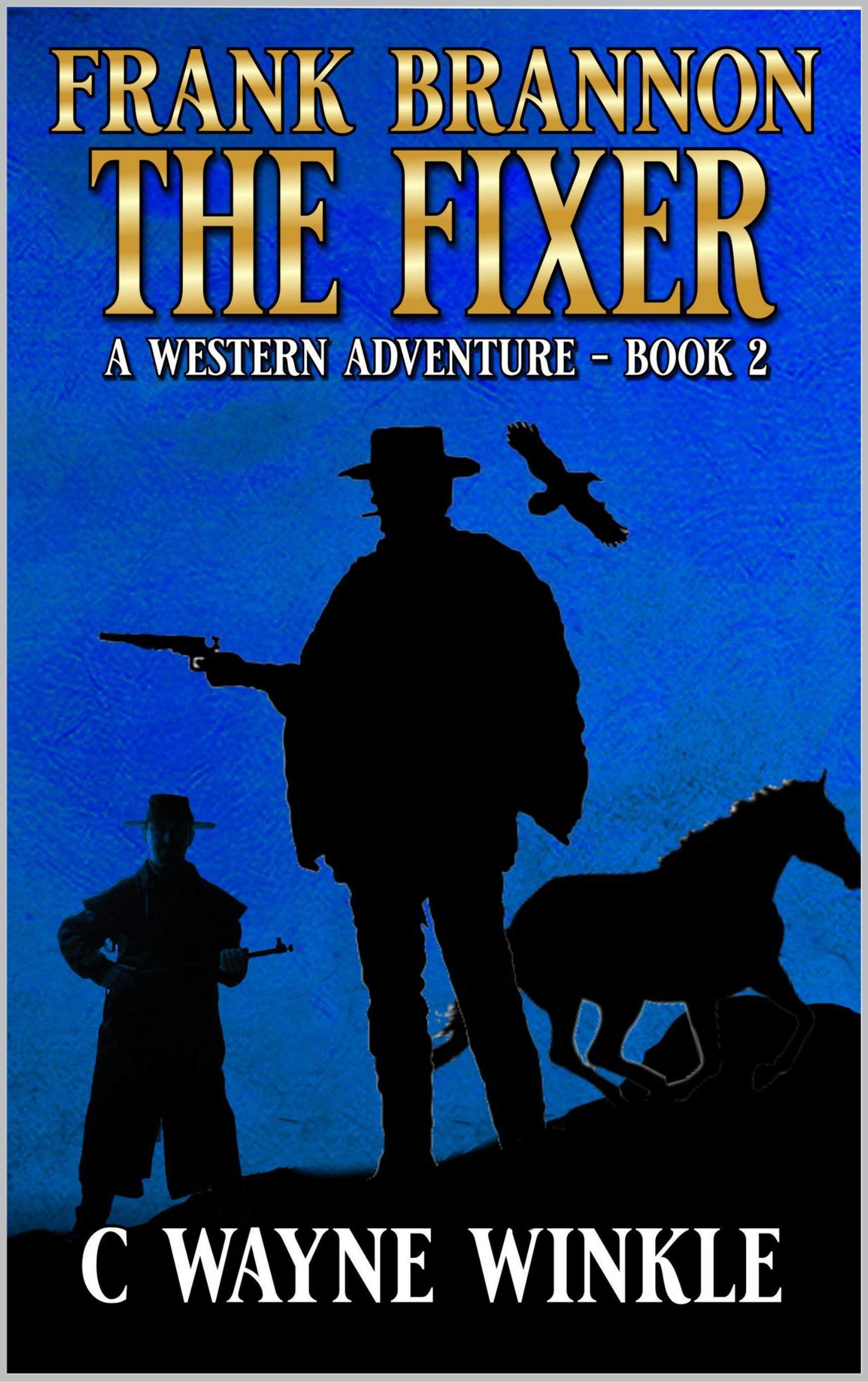 Reluctant Marshal book cover