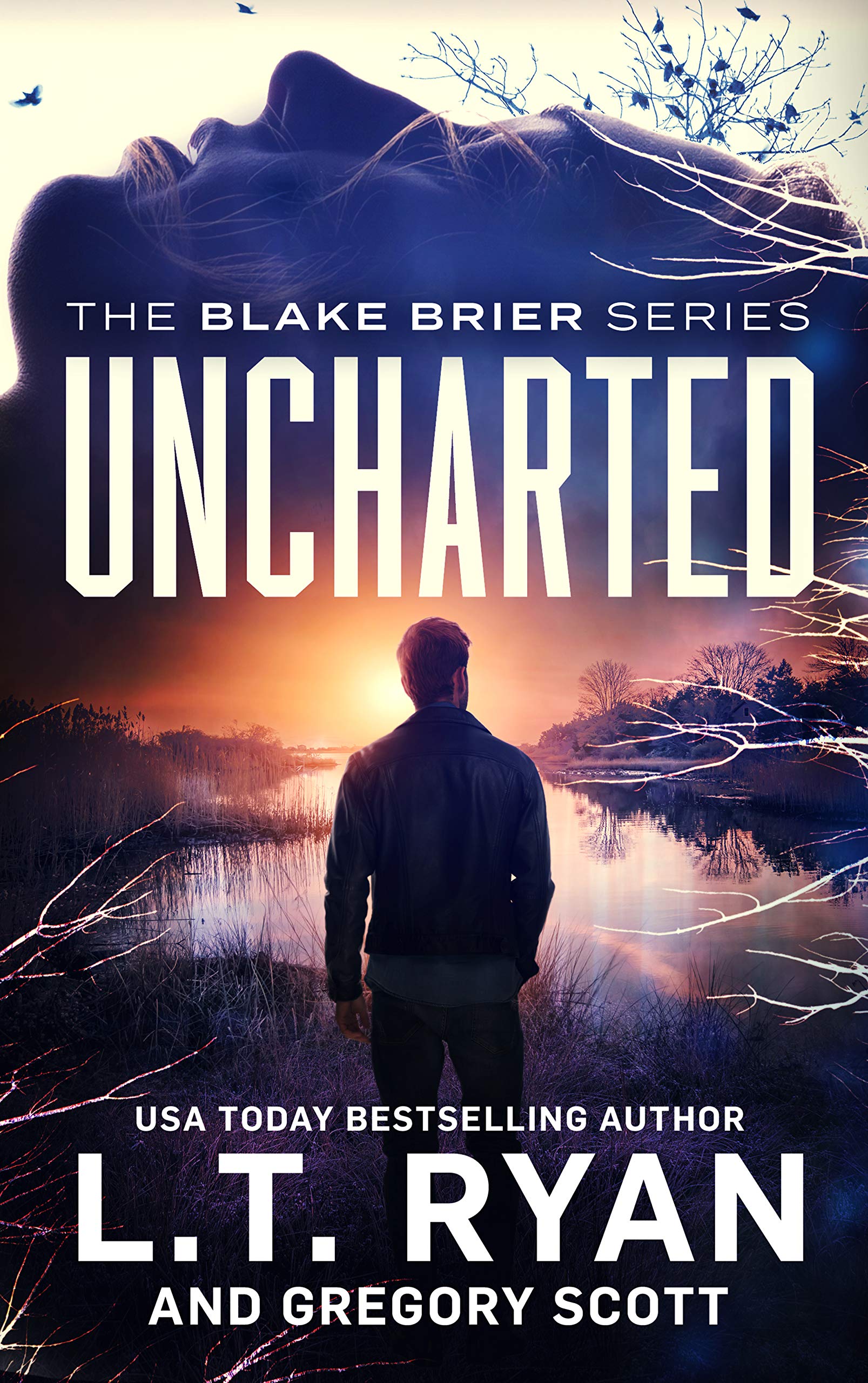 Blake Brier book cover 3