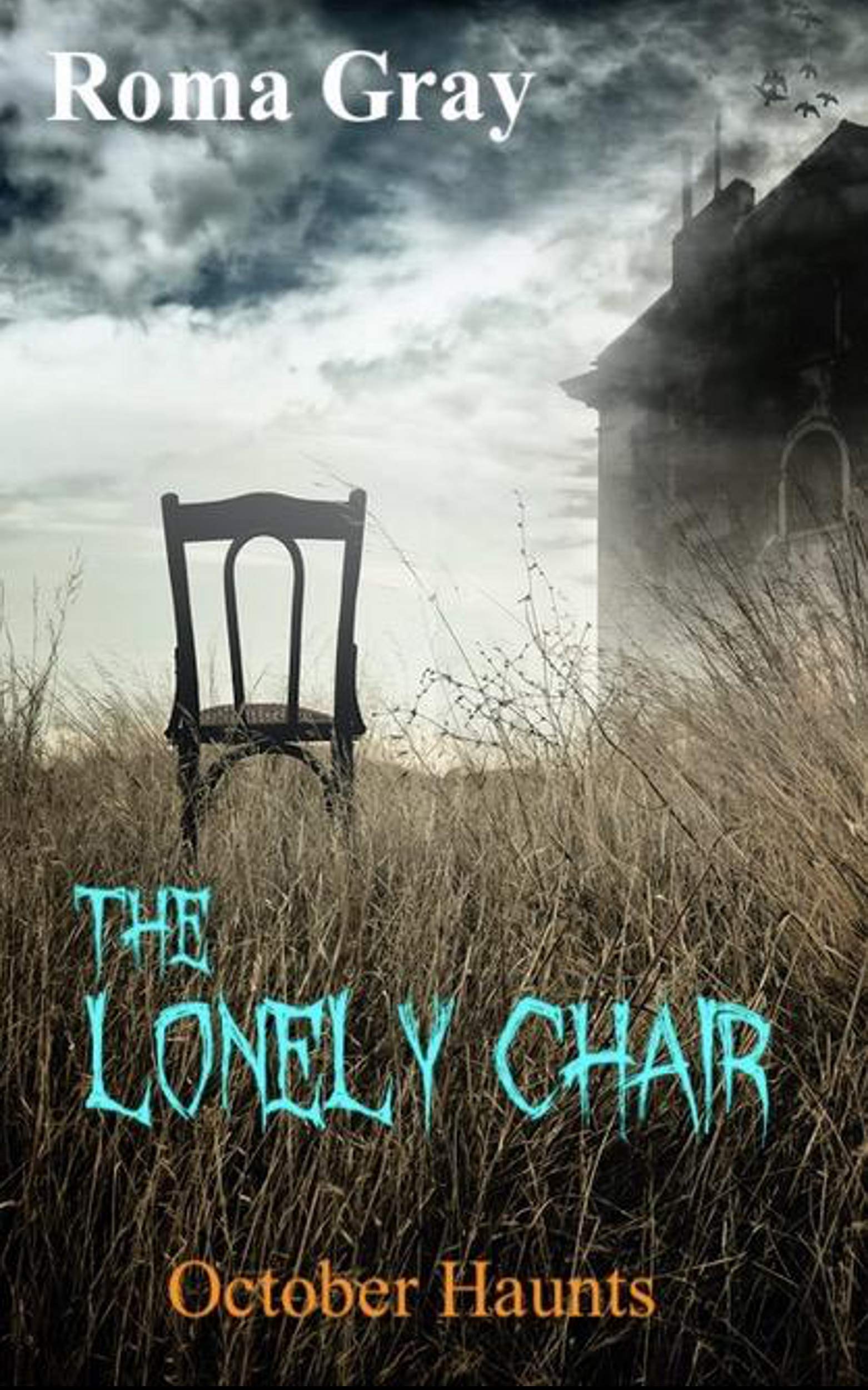The Lonely Chair book cover
