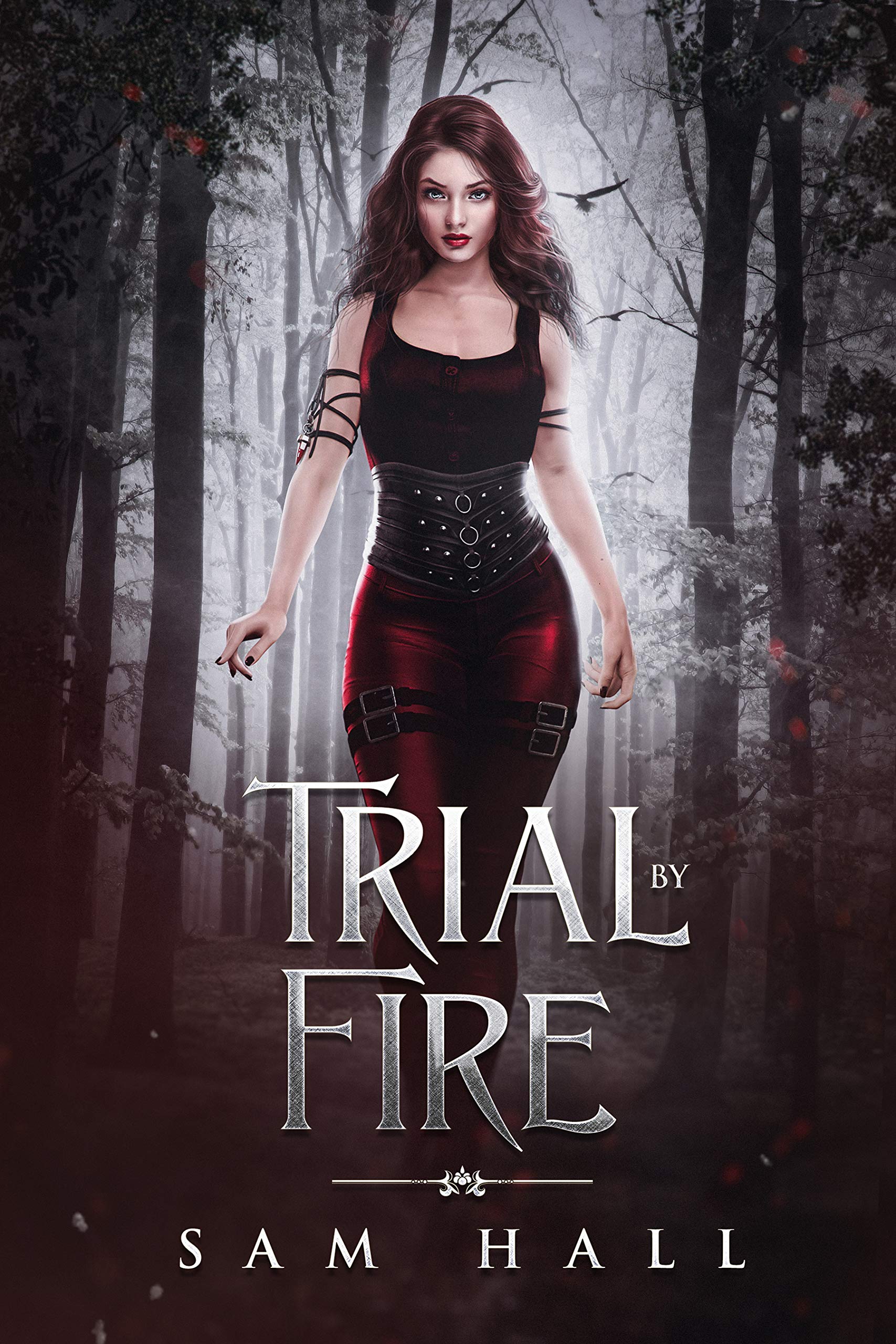 Trial by Fire book cover