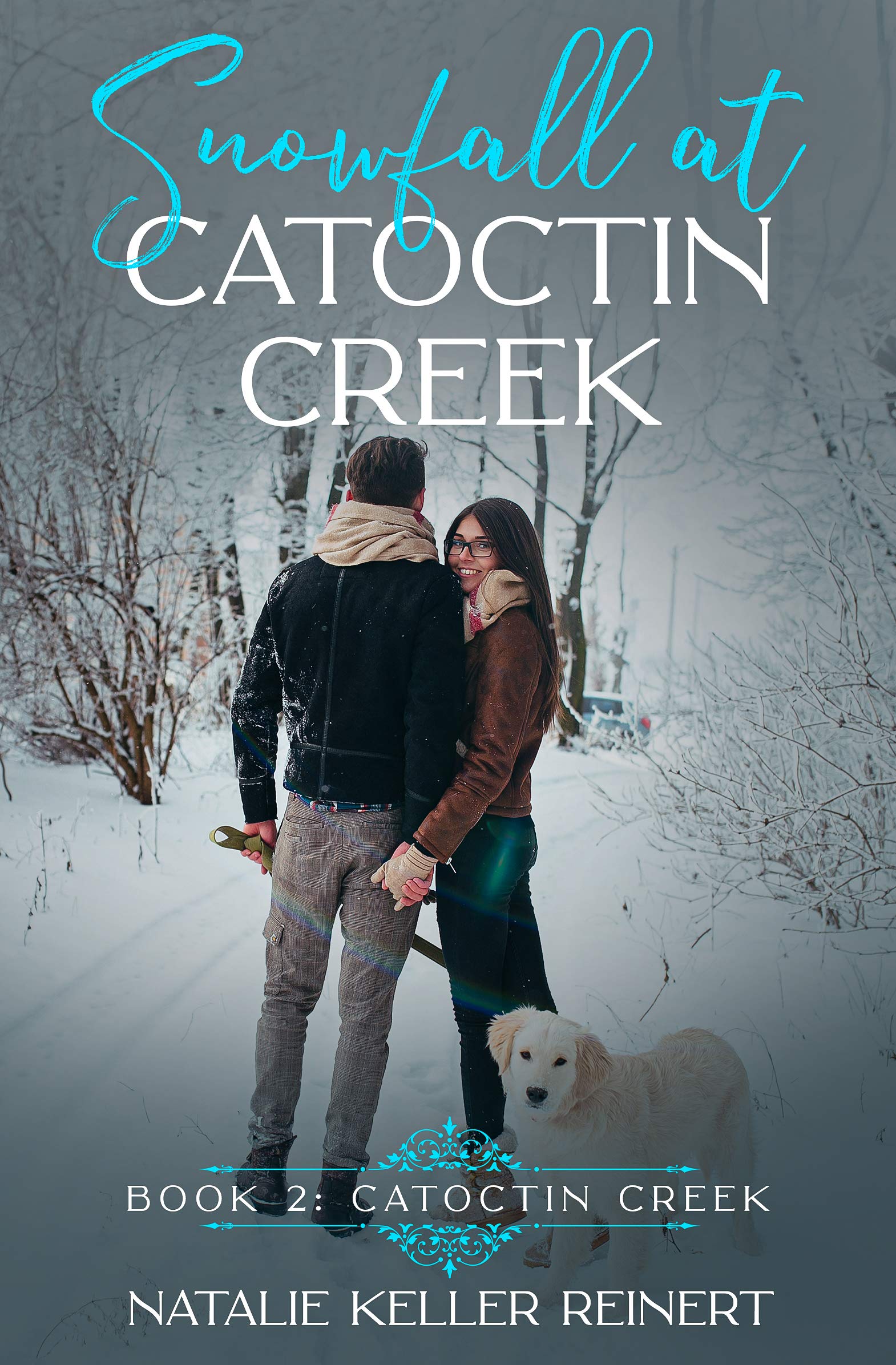 Snowfall at Catoctin Creek