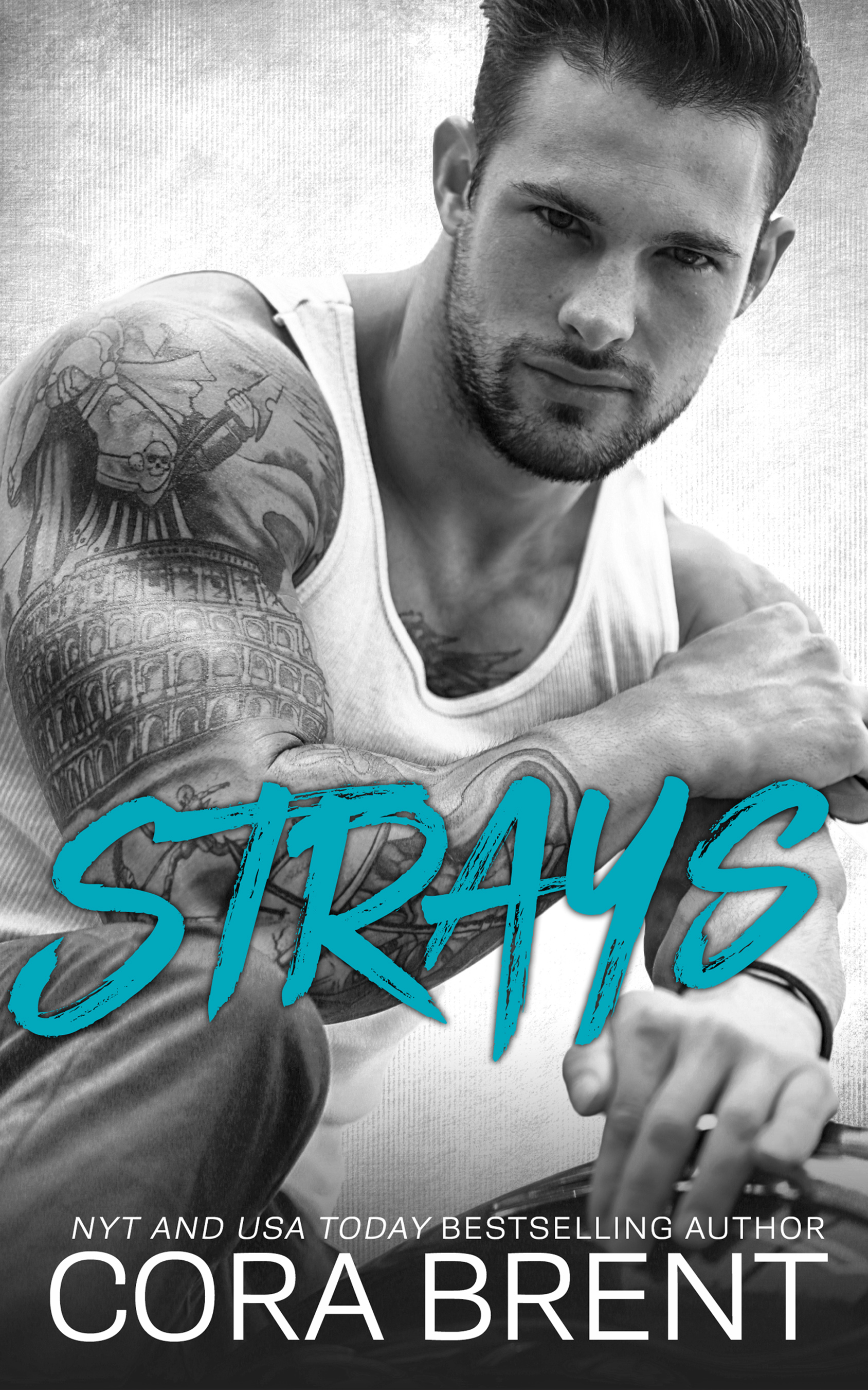 Strays book cover