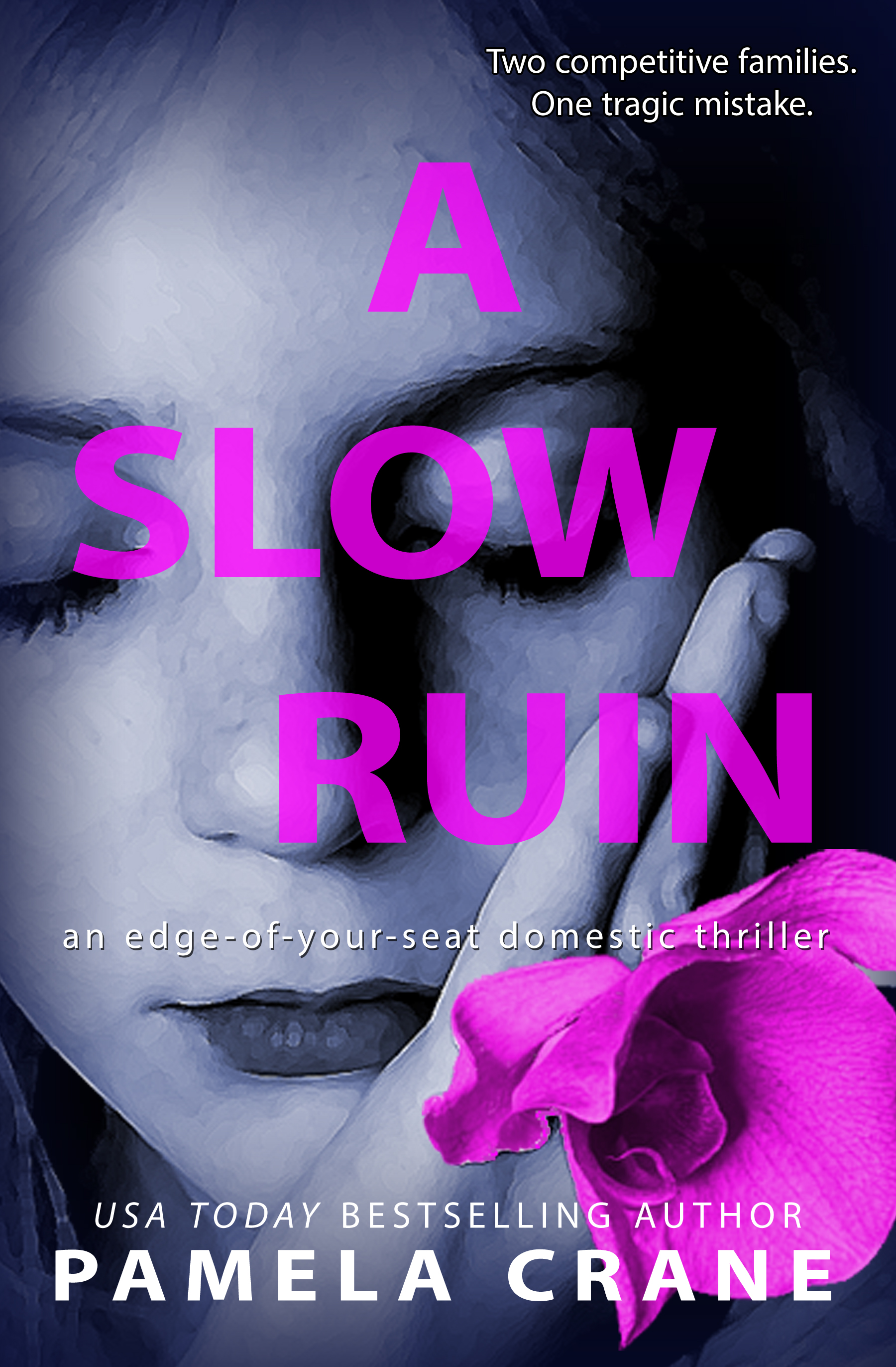A Slow Ruin book cover