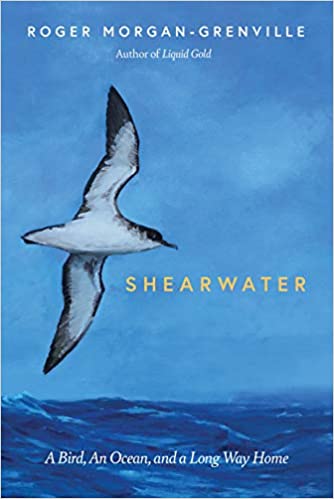 Shearwater: A Bird, an Ocean, and a Long Way Home