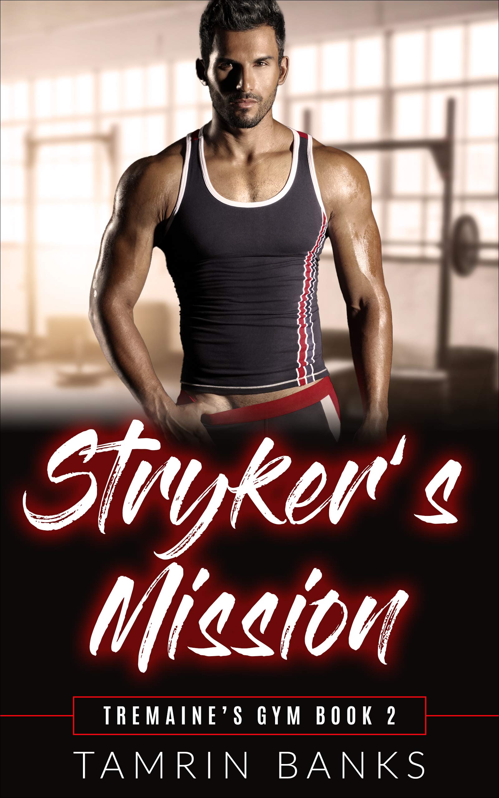 Stryker's Mission book cover