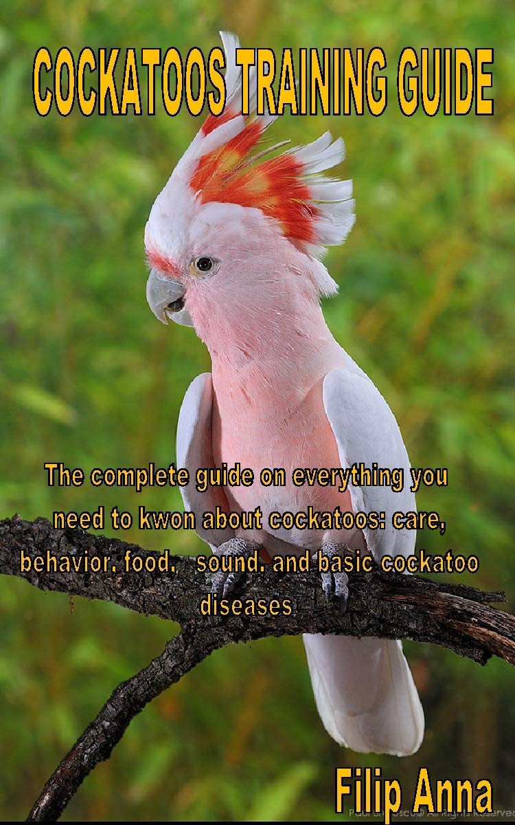 COCKATOOS TRAINING GUIDE The complete guide on everything you need to