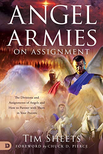 Angel Armies on Assignment book cover