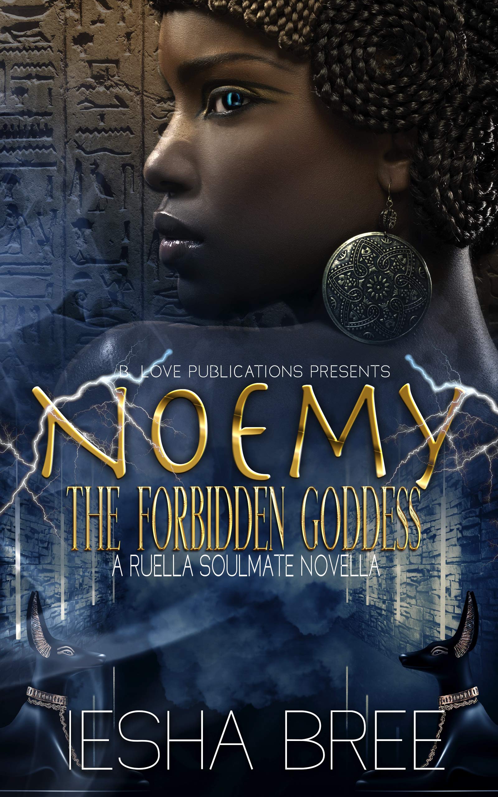 Noemy book cover