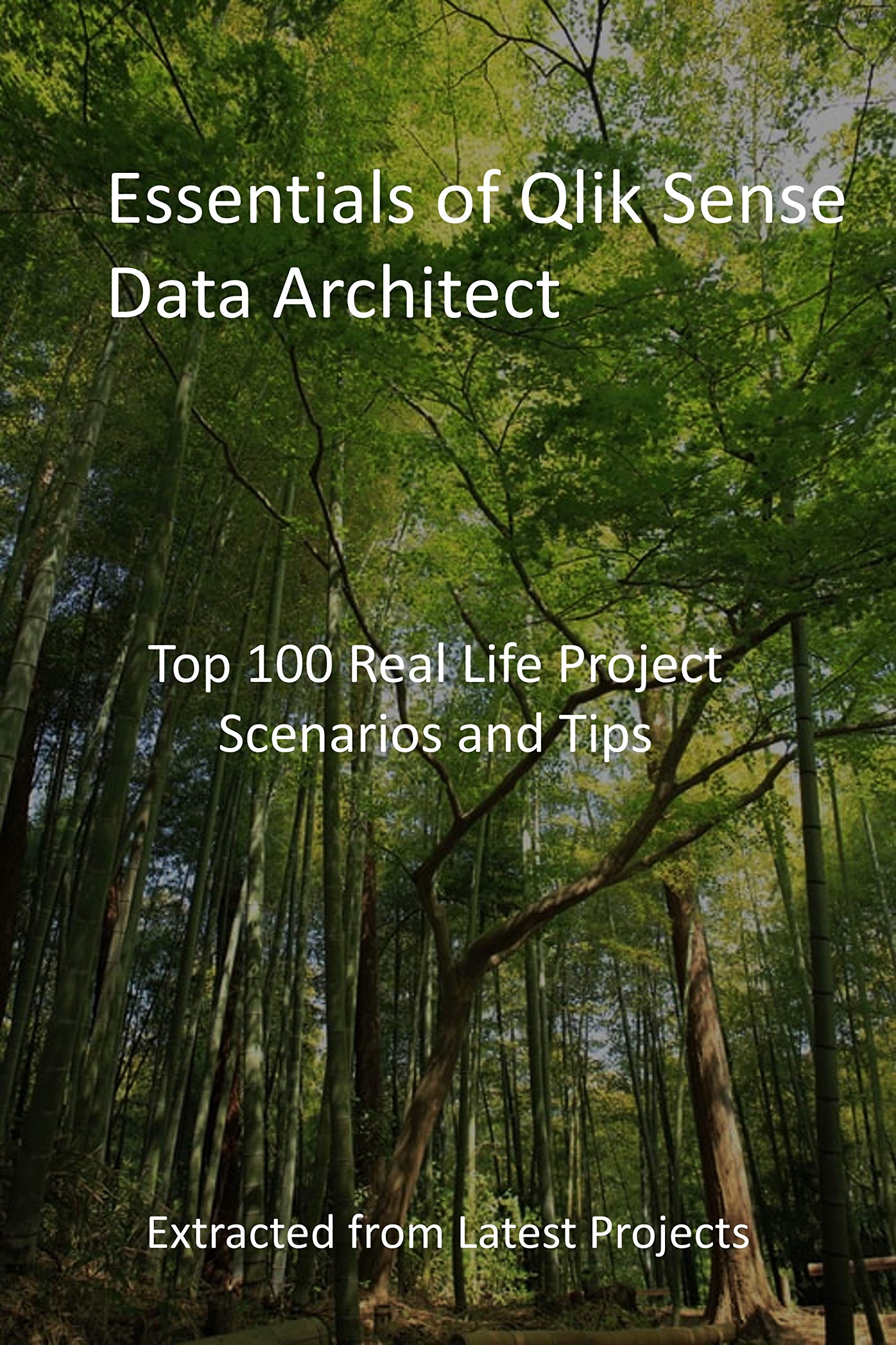 Essentials of Qlik Sense Data Architect Top 100 Real Life Project