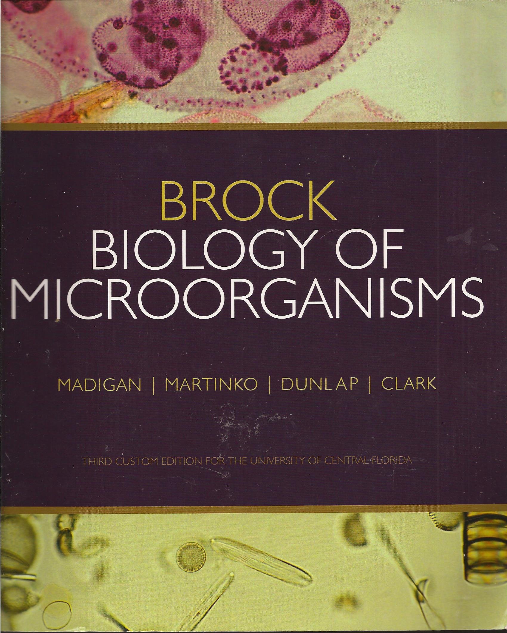Brock Biology of Microorganisms (2009 3rd Custom Ed. University of Central Florida) book cover